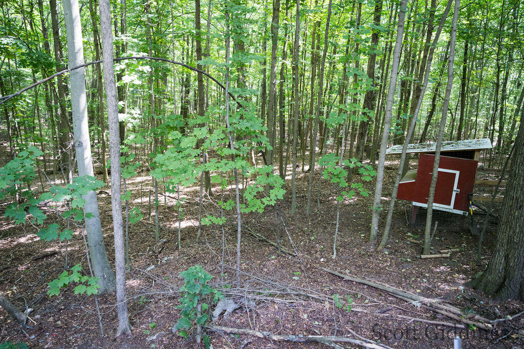 3750 N Hillman Road Property Photo 39