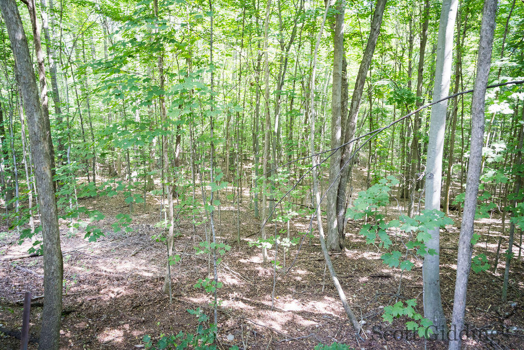 3750 N Hillman Road Property Photo 40