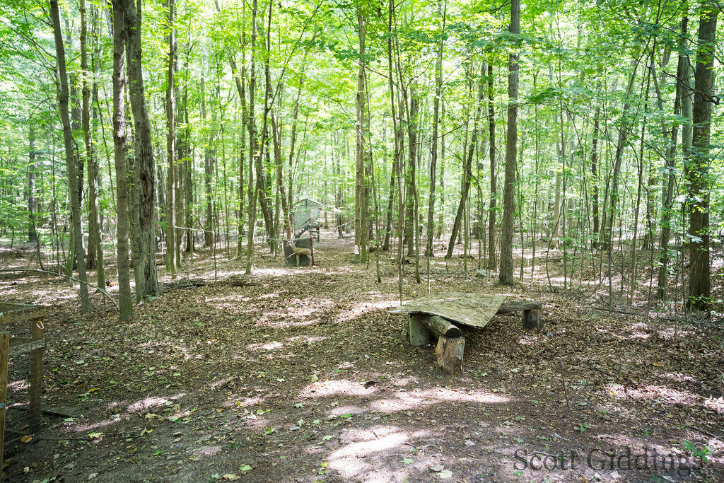 3750 N Hillman Road Property Photo 41
