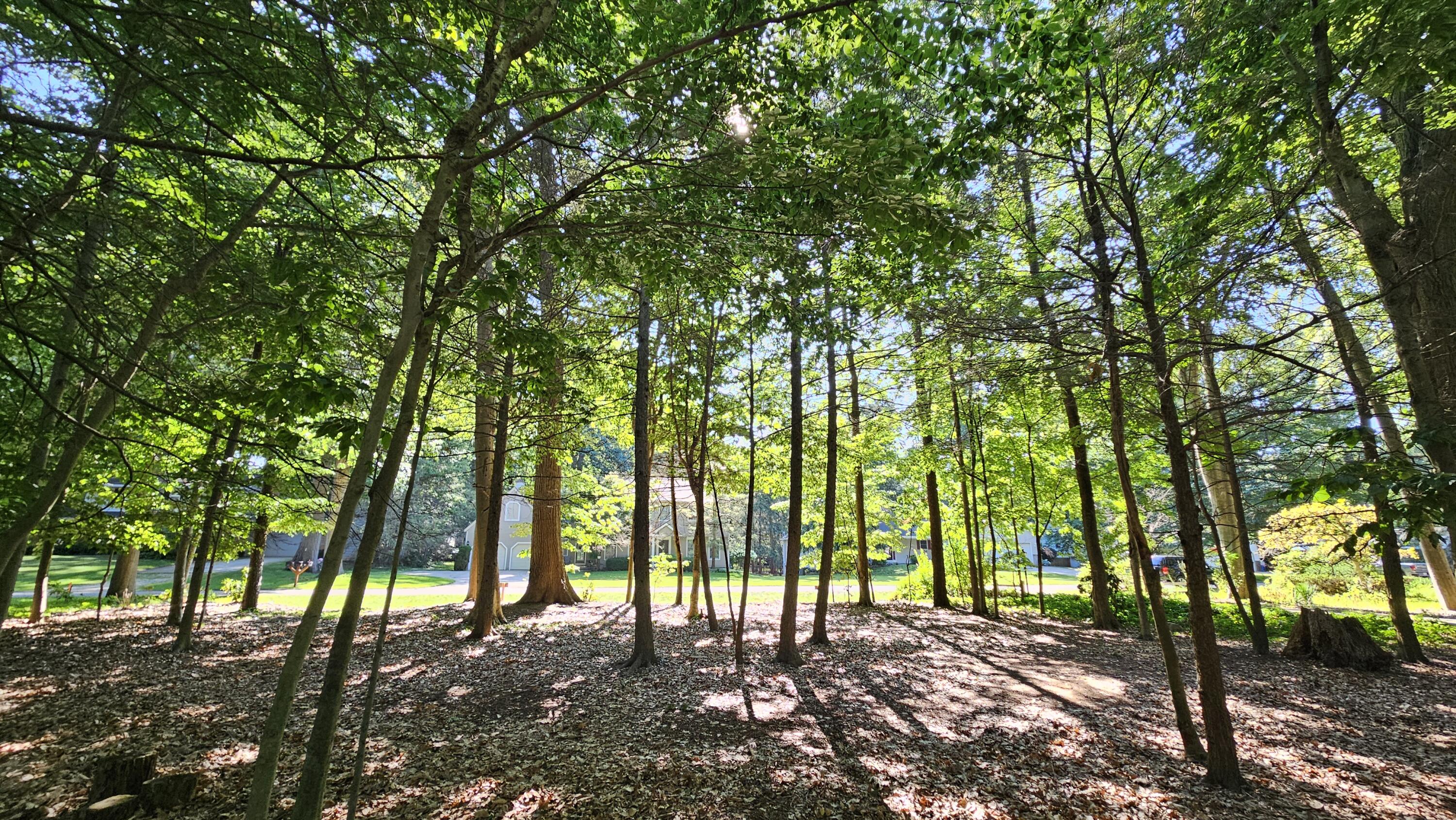 0 Marquette Avenue Property Photo 11