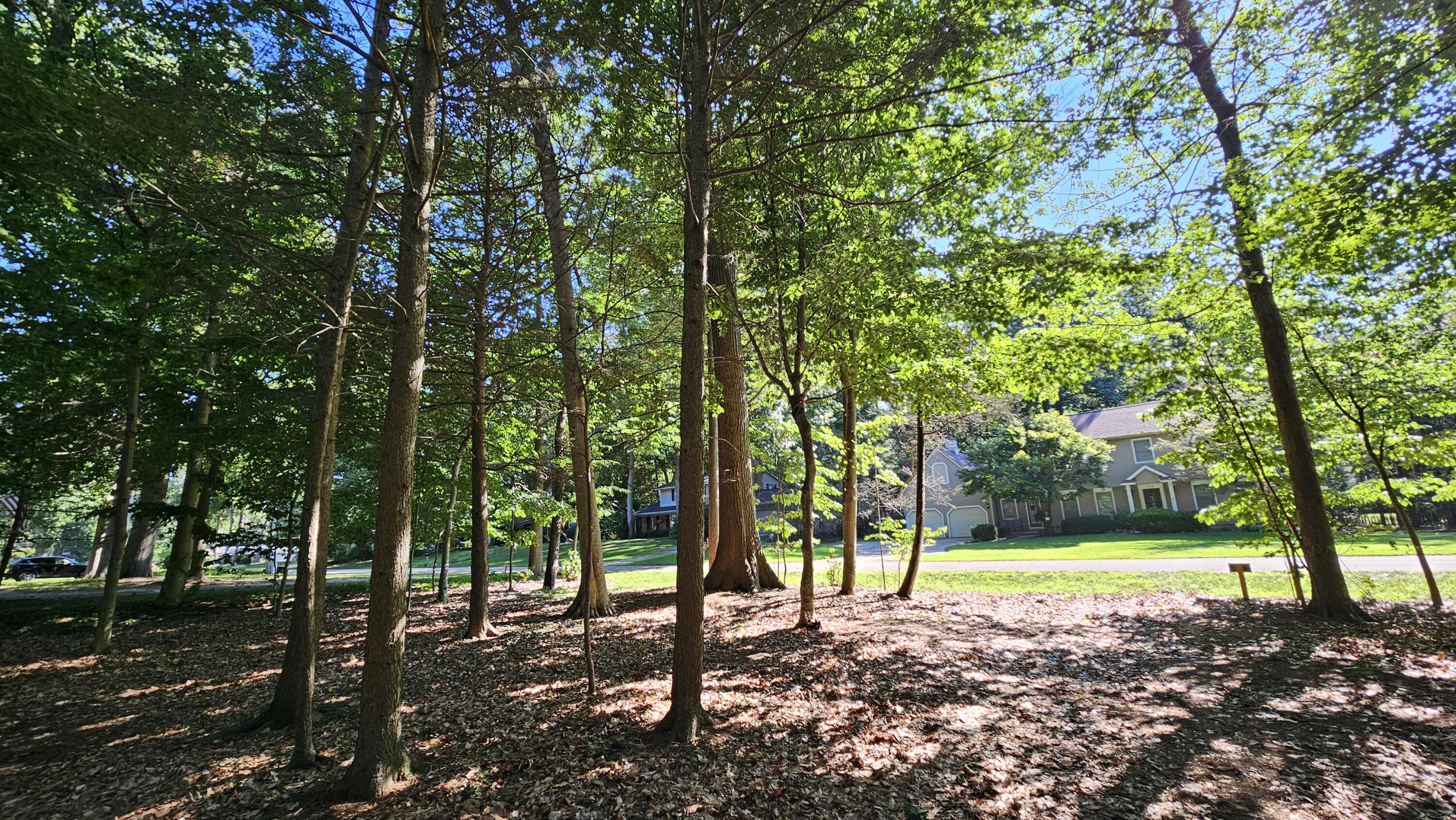 0 Marquette Avenue Property Photo 12
