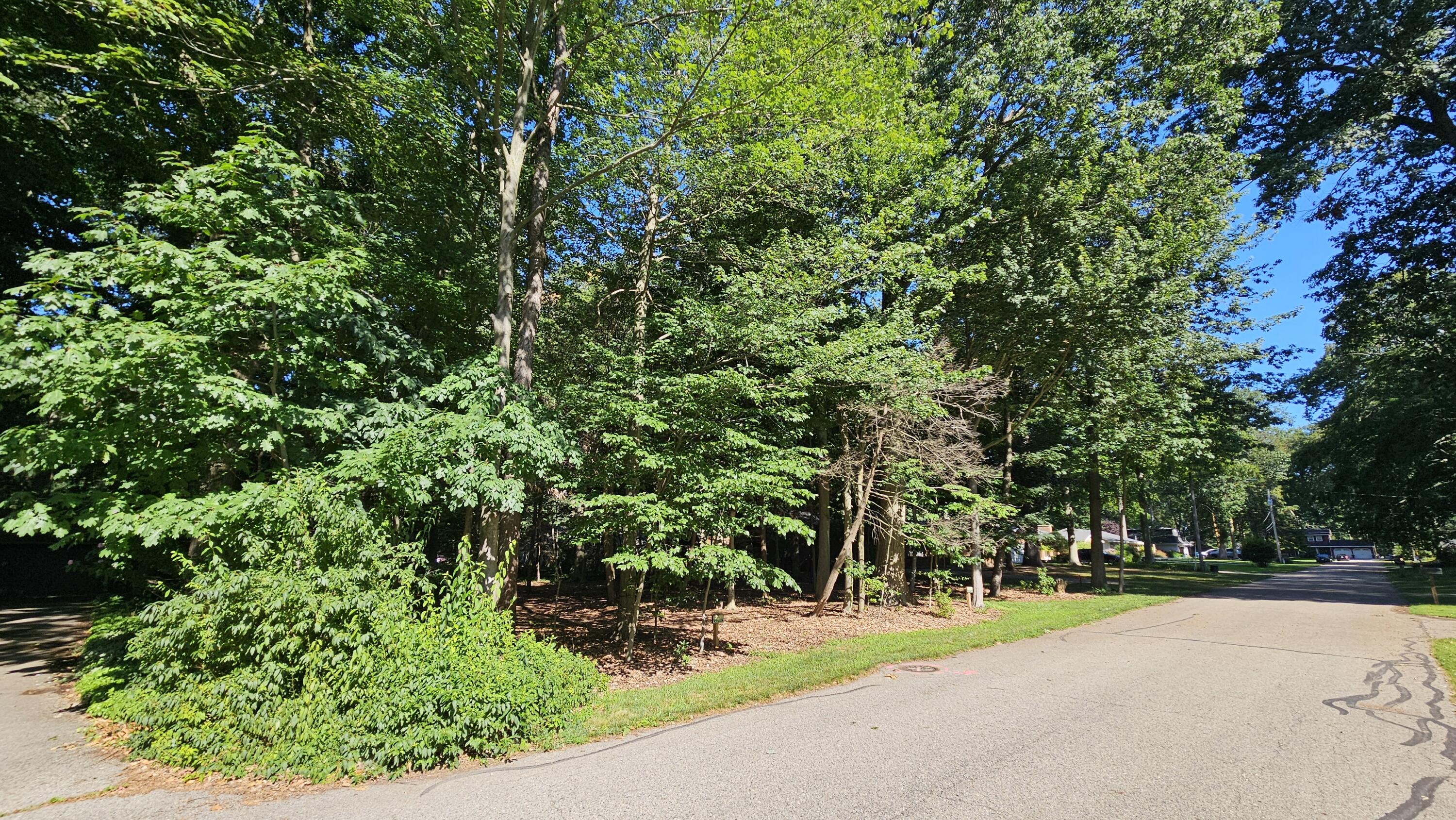 0 Marquette Avenue Property Photo 13