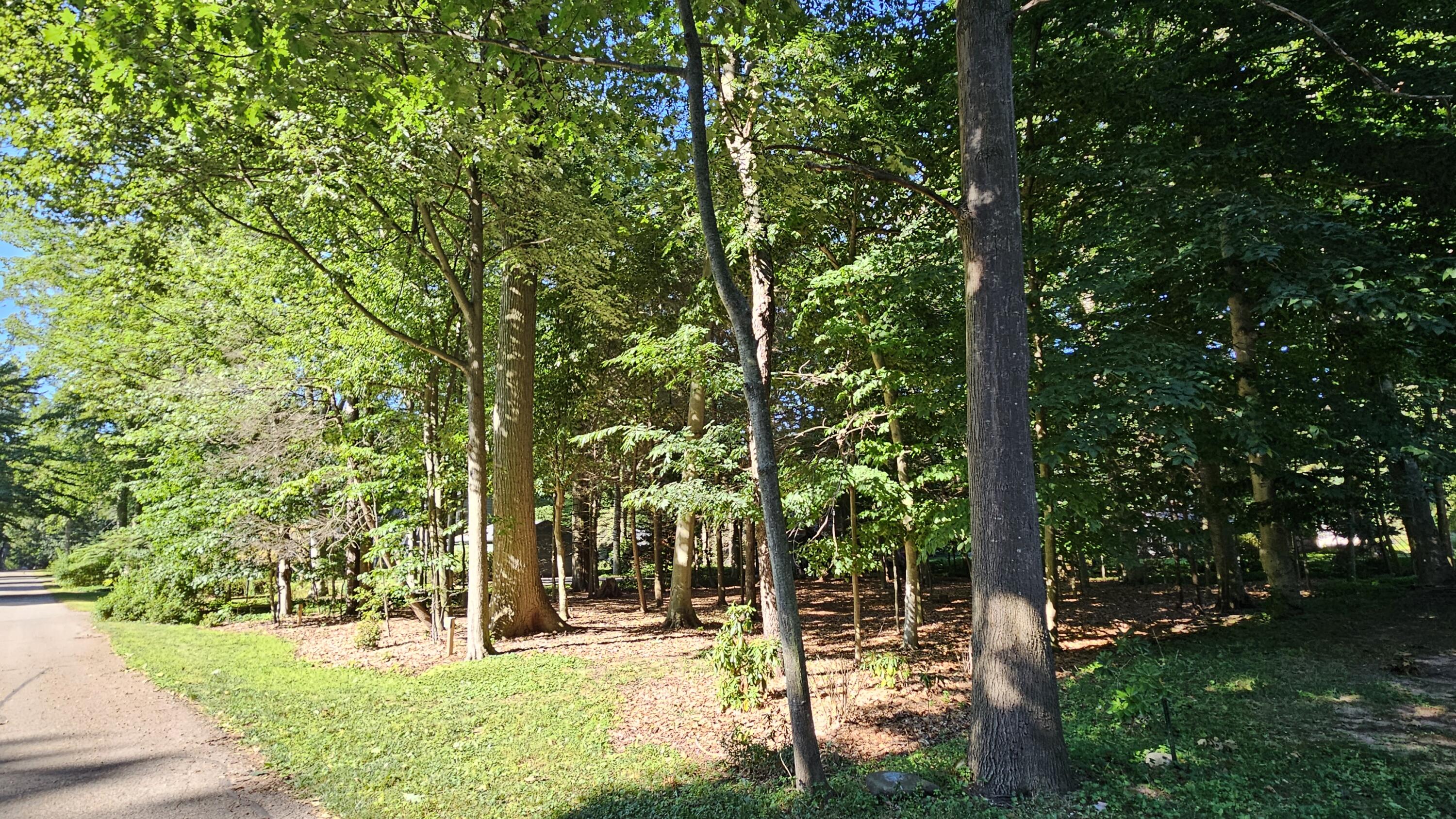 0 Marquette Avenue Property Photo 14