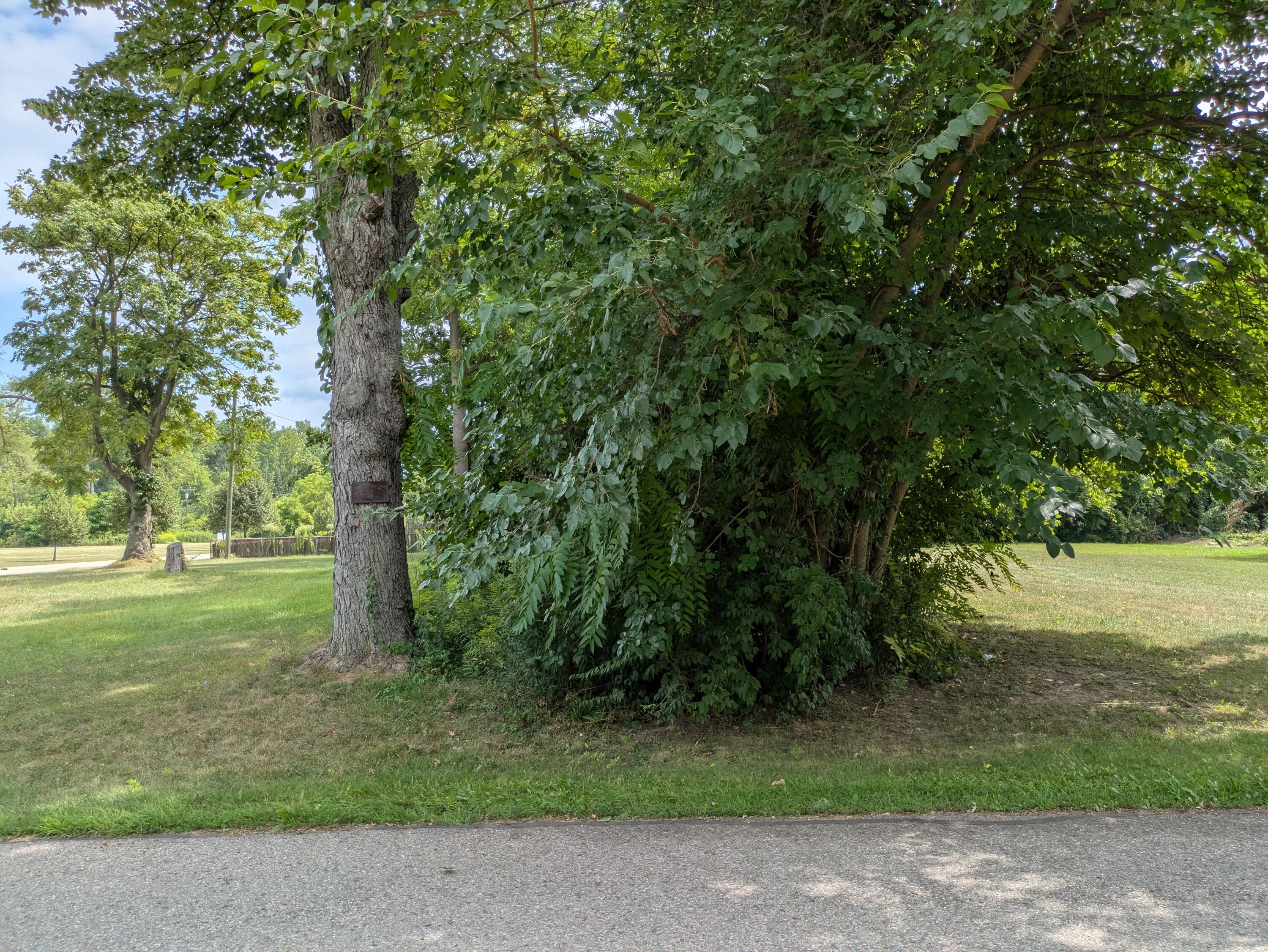 0 Delano Street Property Photo 1