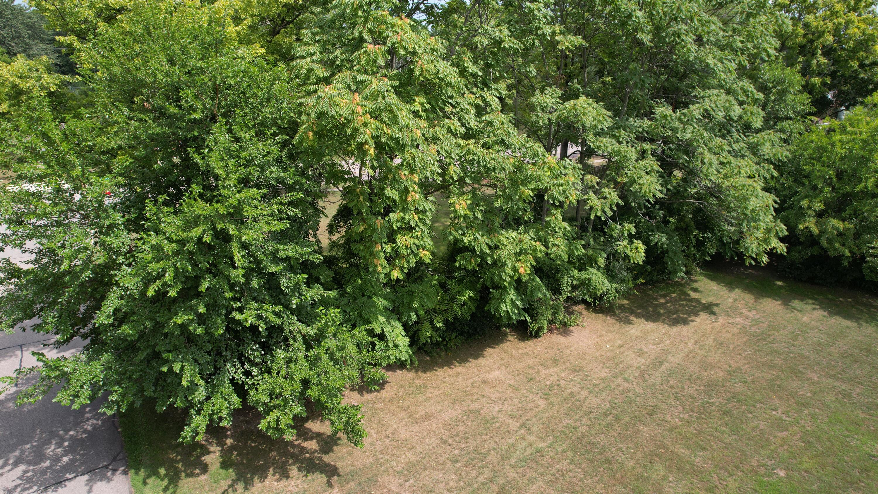 0 Delano Street Property Photo 5