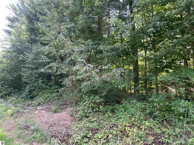 0 White Pine Drive Property Photo 5
