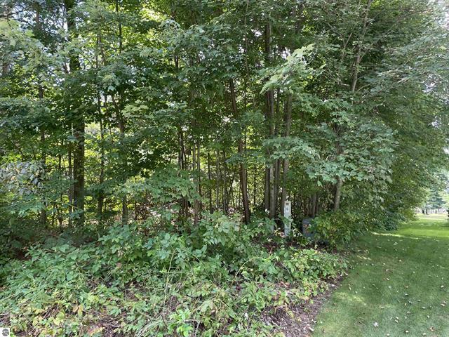 0 White Pine Drive Property Photo 6