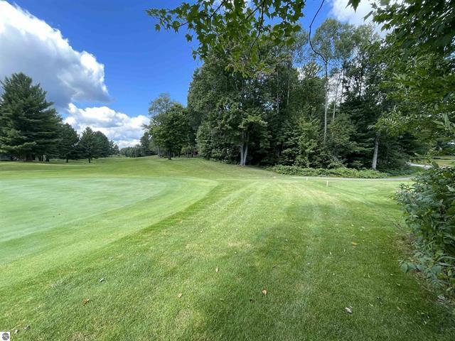 0 White Pine Drive Property Photo 8