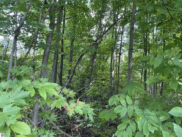 0 White Pine Drive Property Photo 12