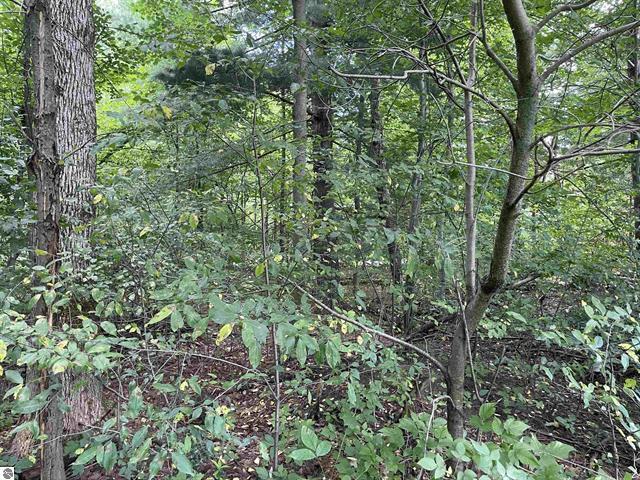 0 White Pine Drive Property Photo 14