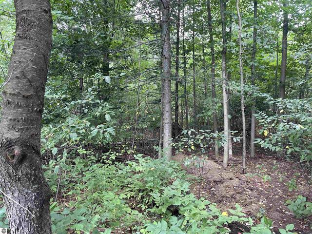 0 White Pine Drive Property Photo 15