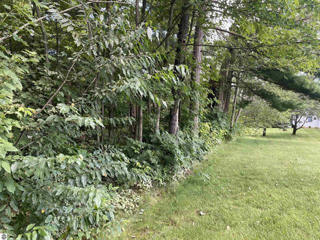 0 White Pine Drive Property Photo 16