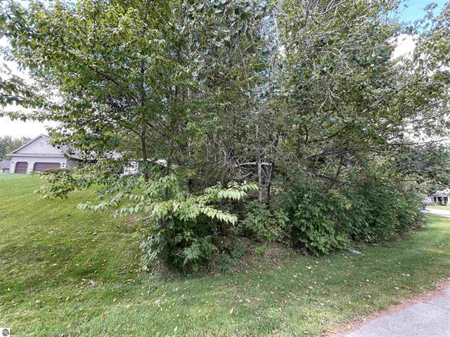 0 White Pine Drive Property Photo 17