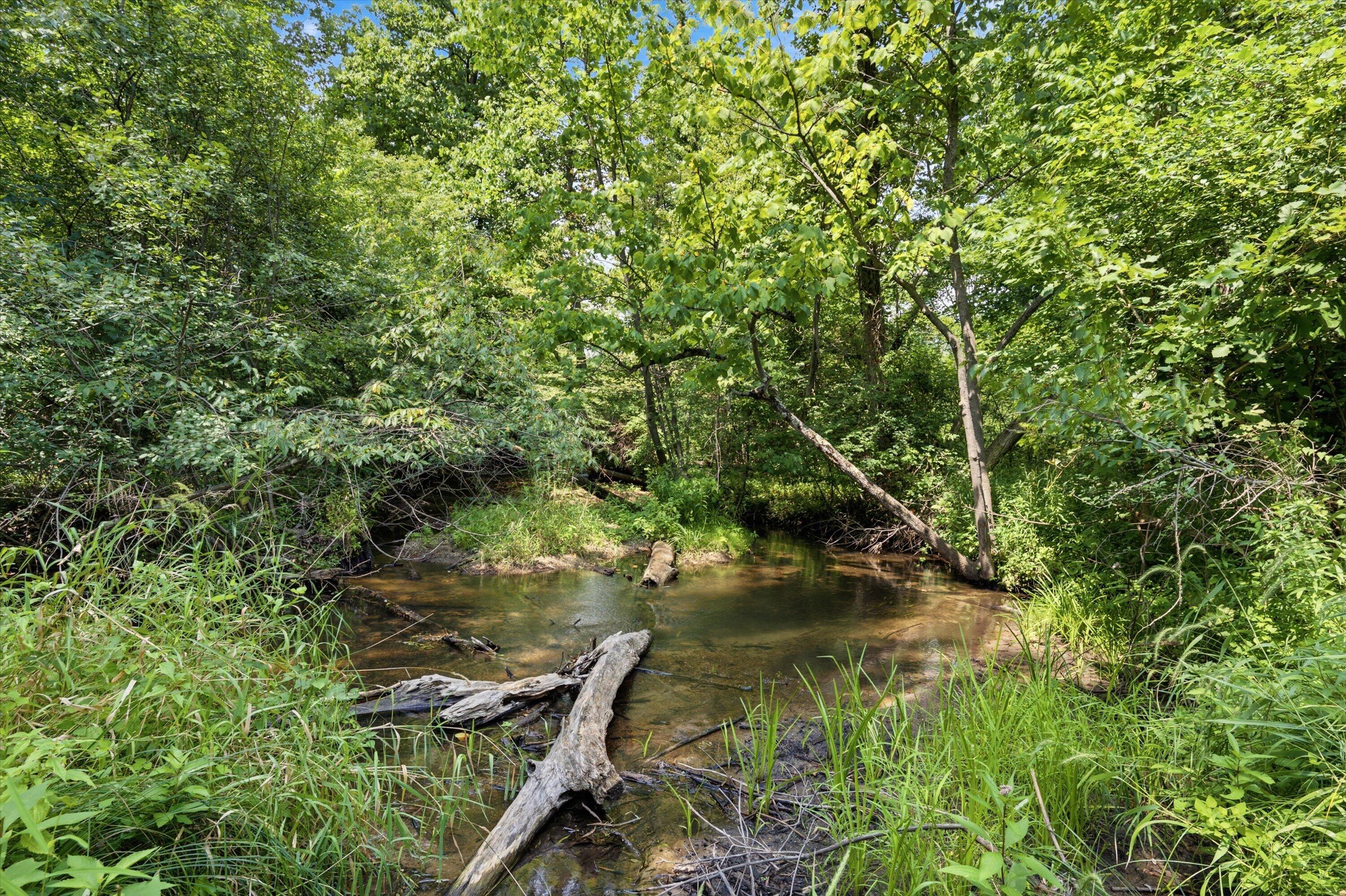 11144 Horton Road Property Photo 6