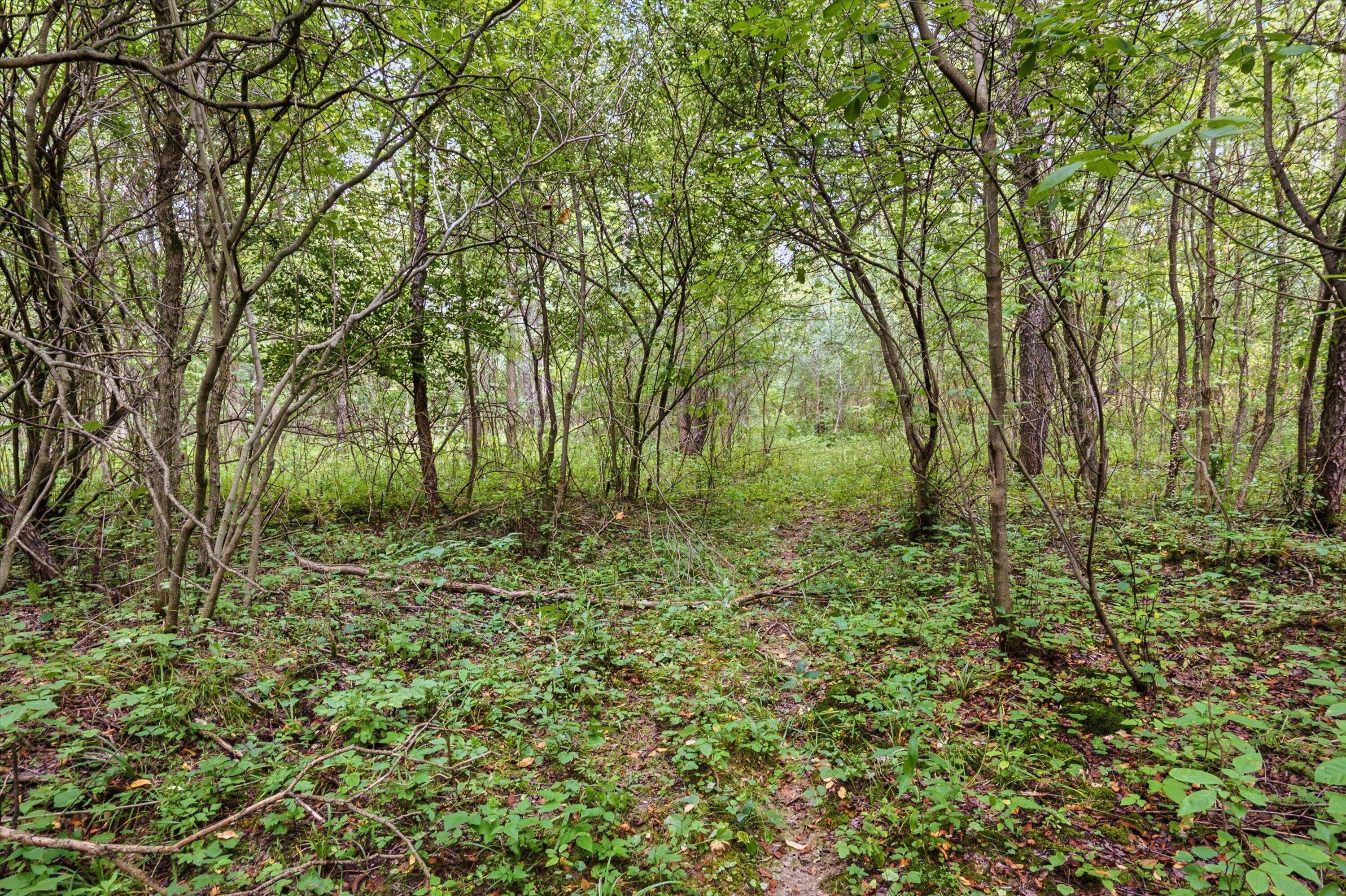 11144 Horton Road Property Photo 7