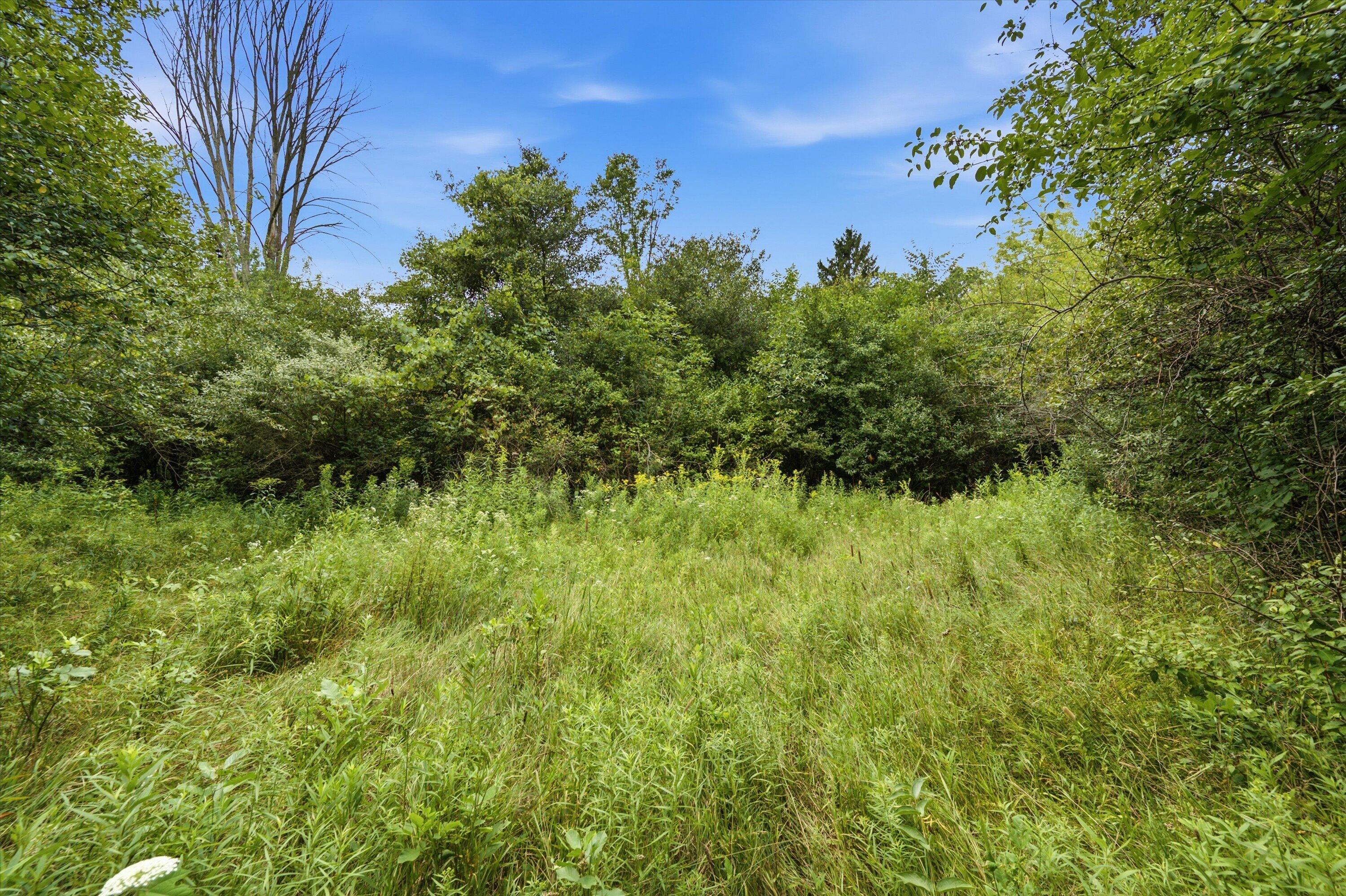11144 Horton Road Property Photo 9
