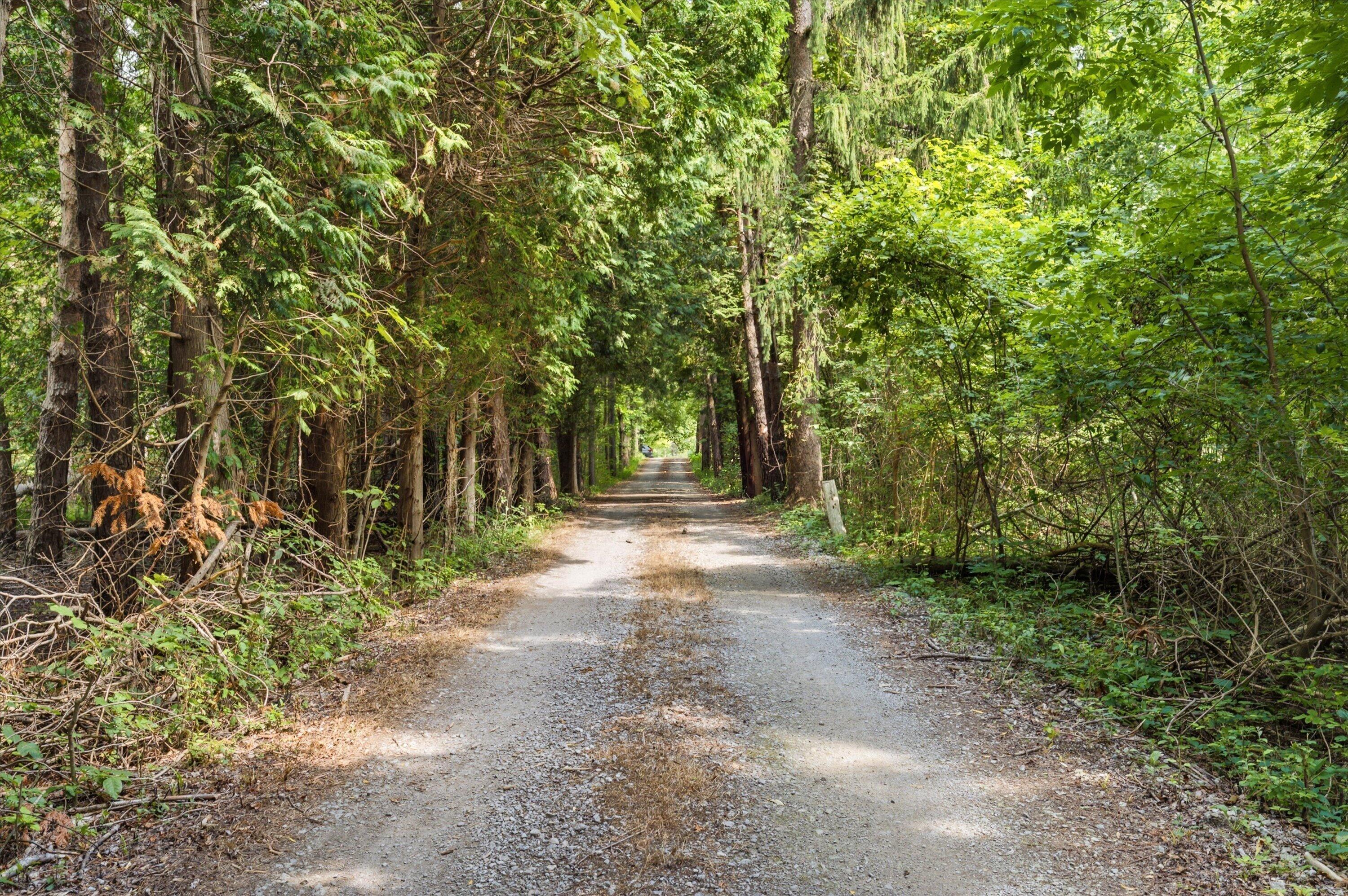 11144 Horton Road Property Photo 10