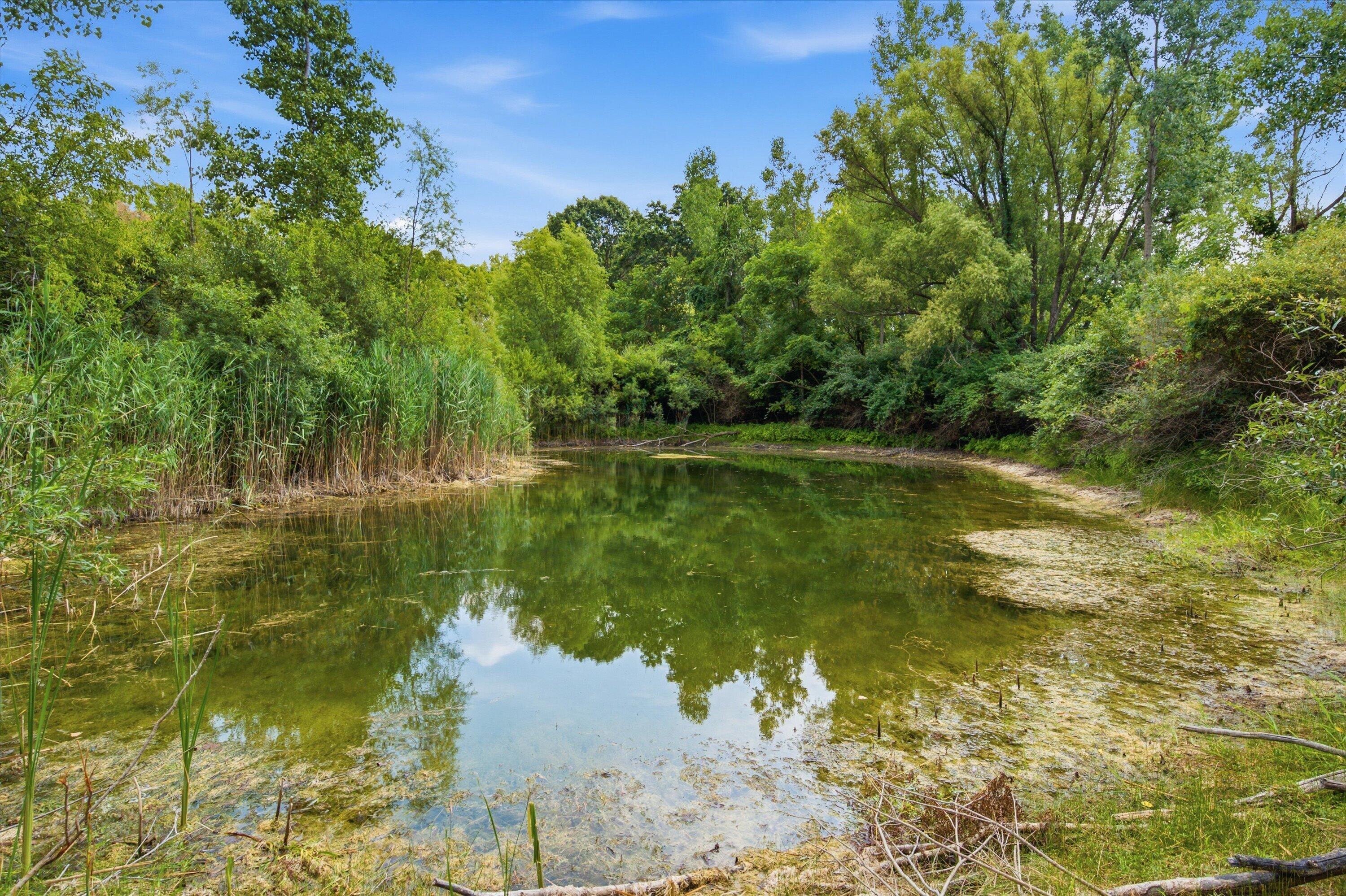 11144 Horton Road Property Photo 31