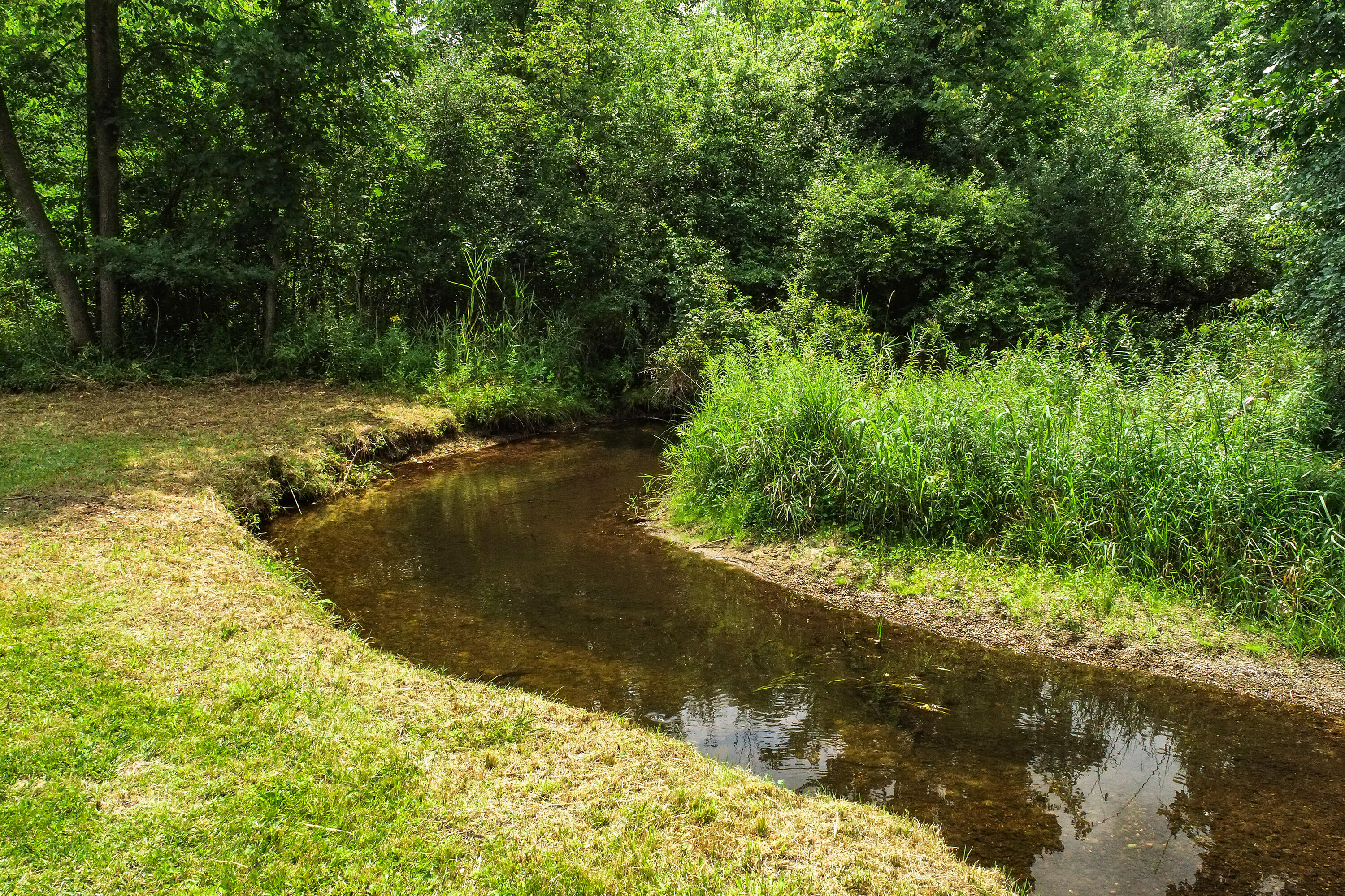 11144 Horton Road Property Photo 32