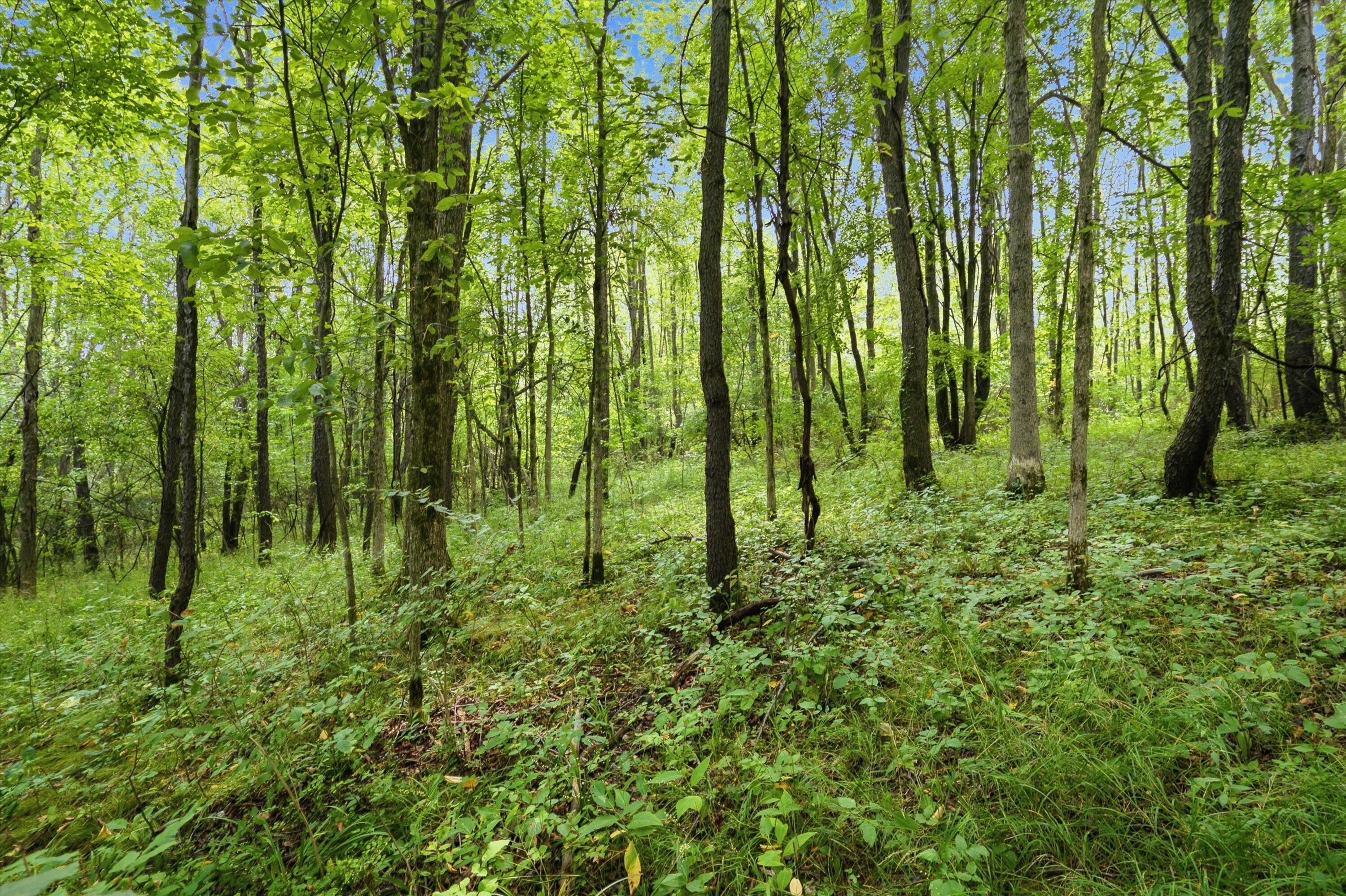 11144 Horton Road Property Photo 35