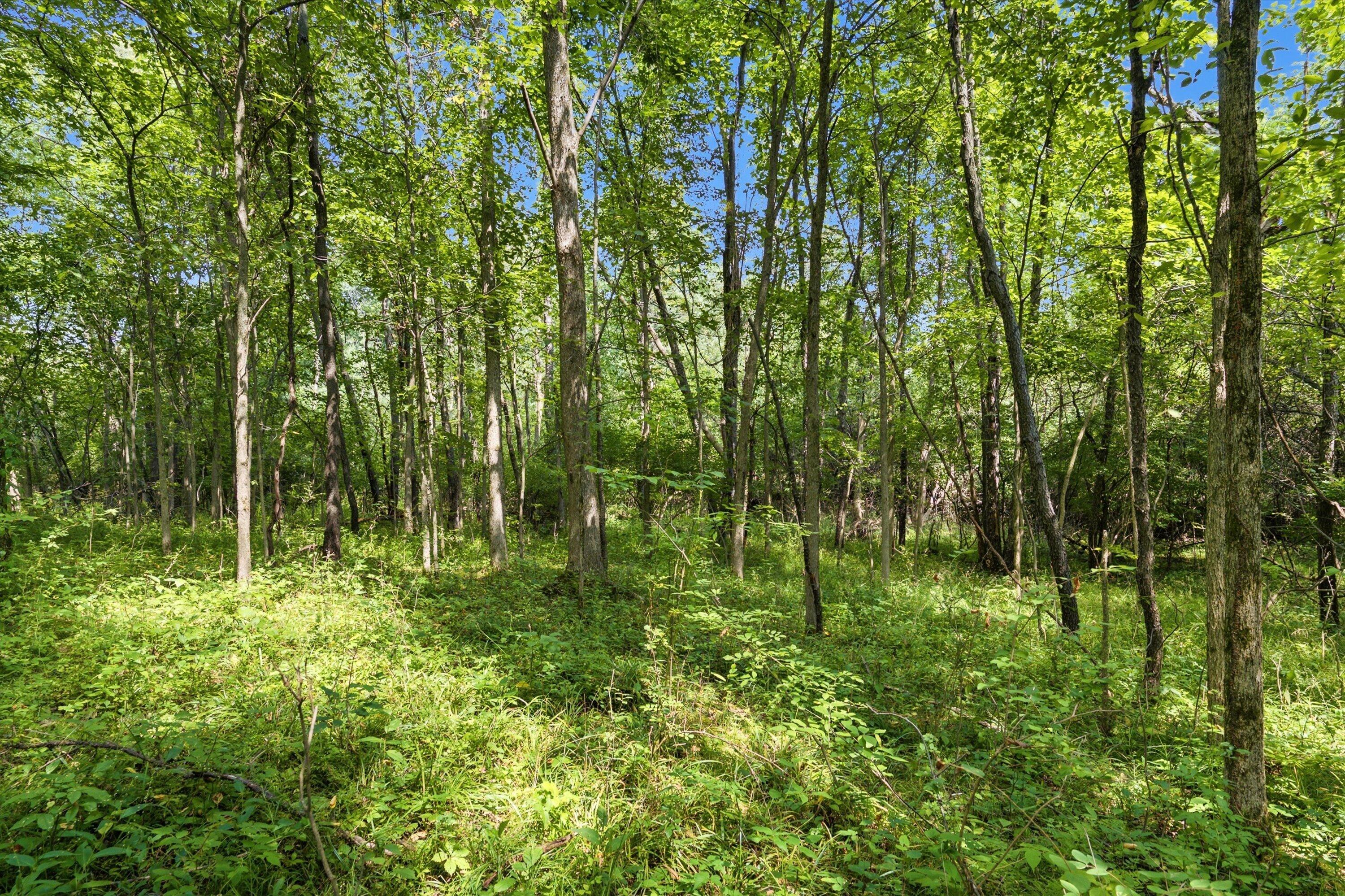 11144 Horton Road Property Photo 36