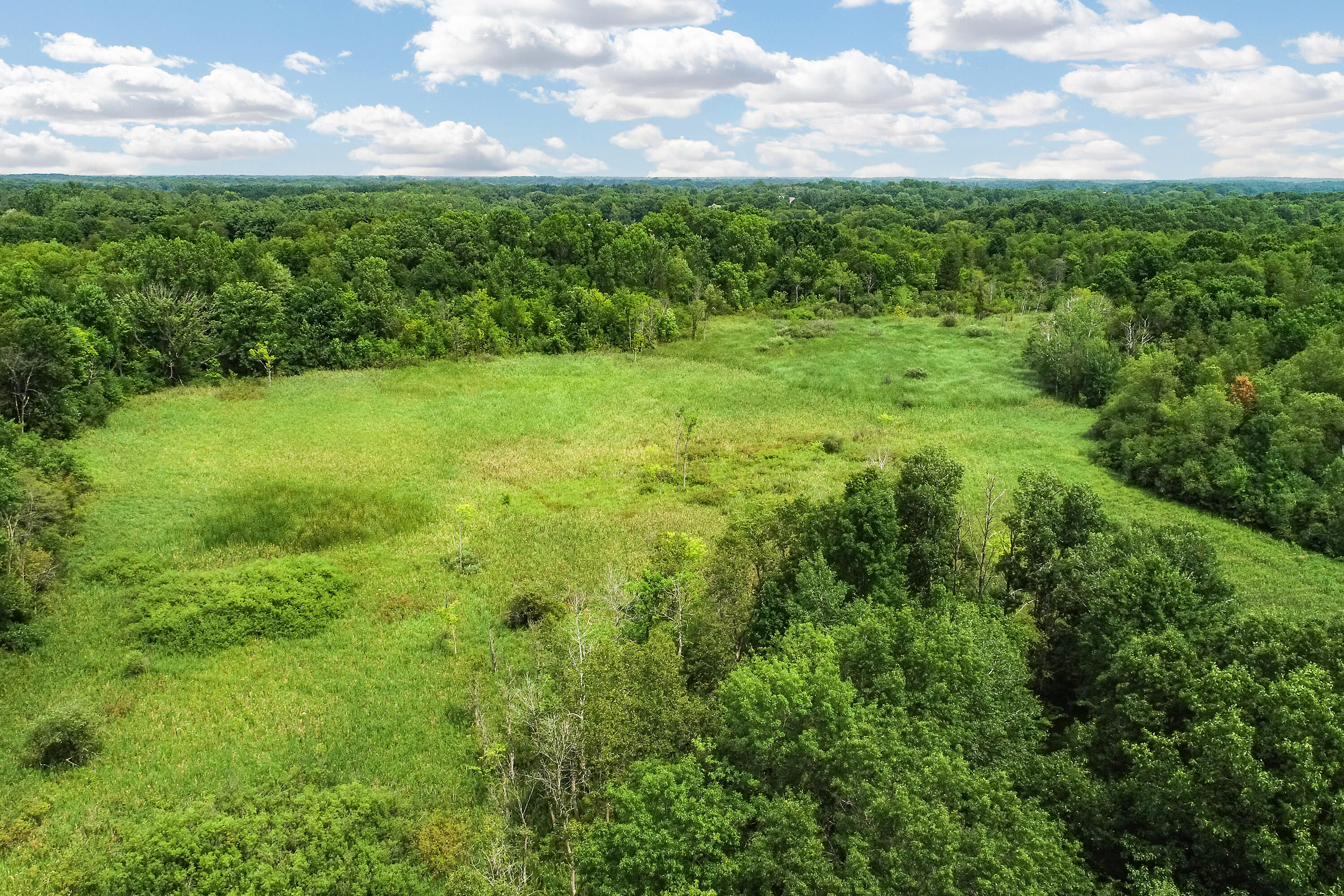 11144 Horton Road Property Photo 46