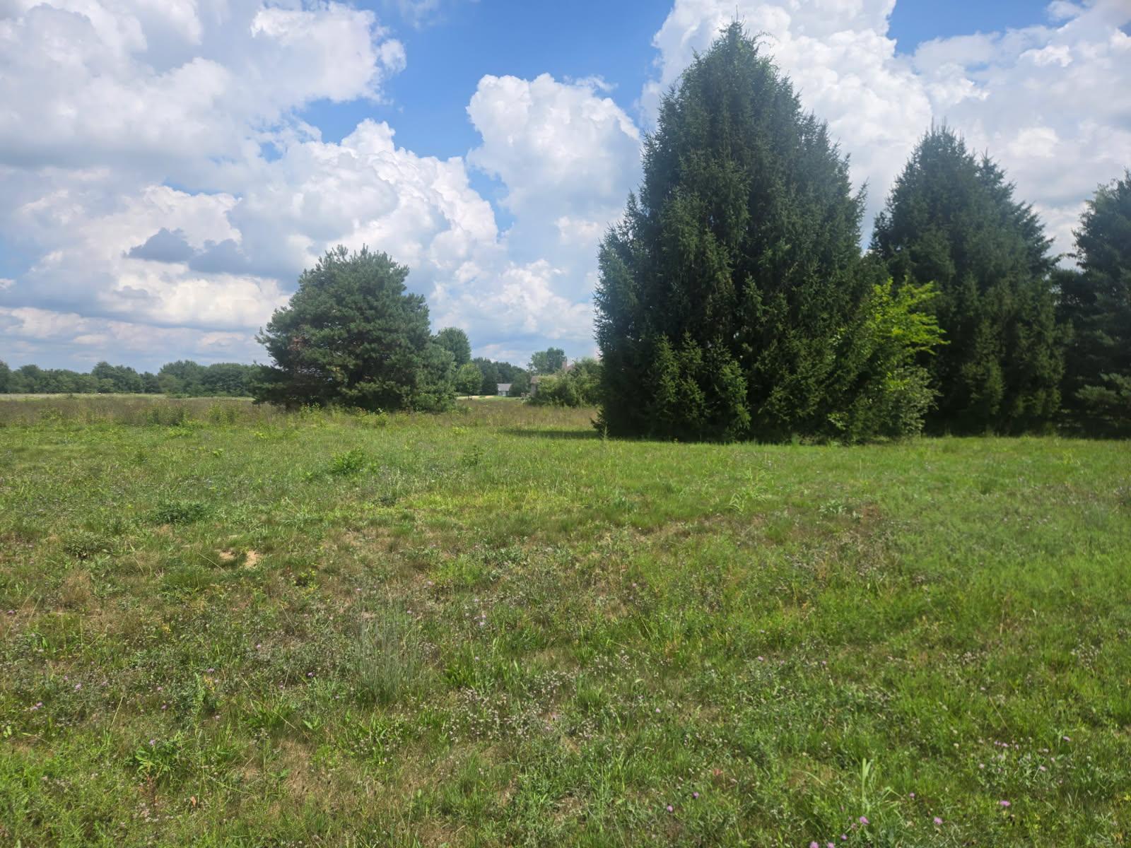 V/L 61 Hidden River Property Photo 1