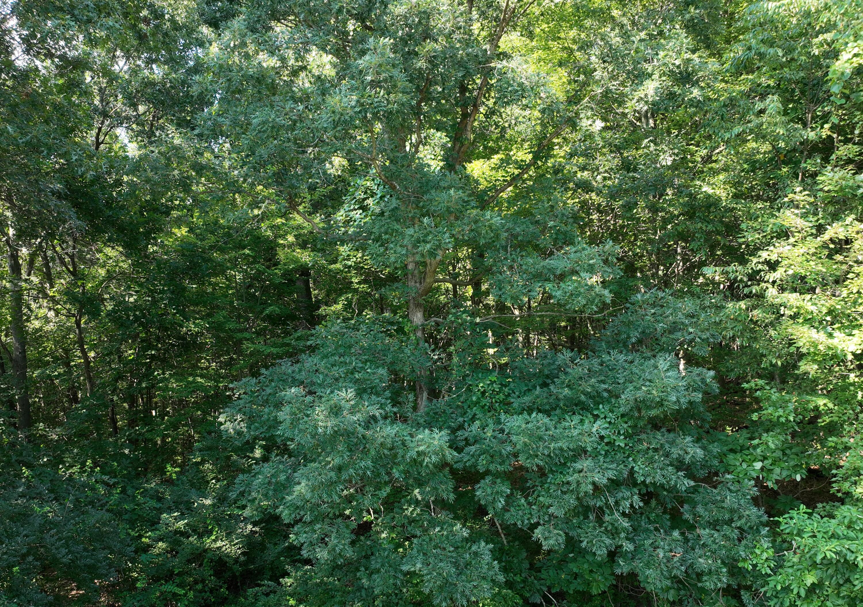 Harris Lane Property Photo 1
