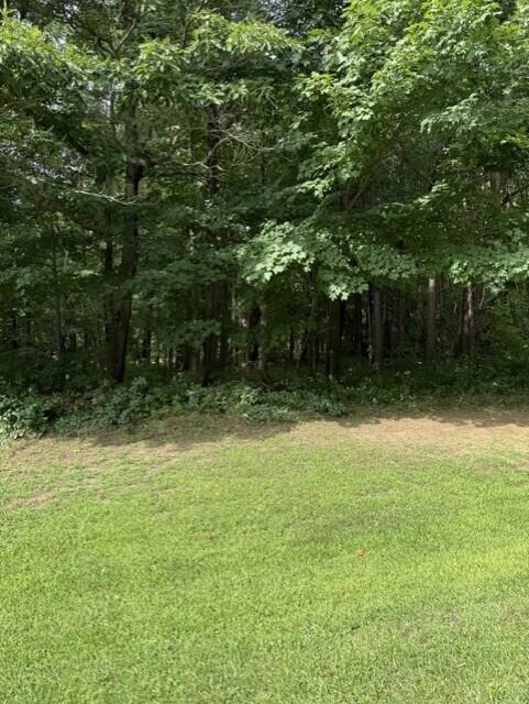 73rd Street Property Photo 5