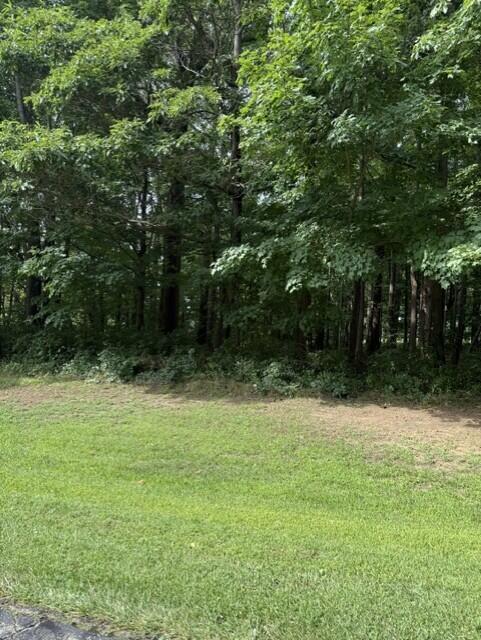 73rd Street Property Photo 6