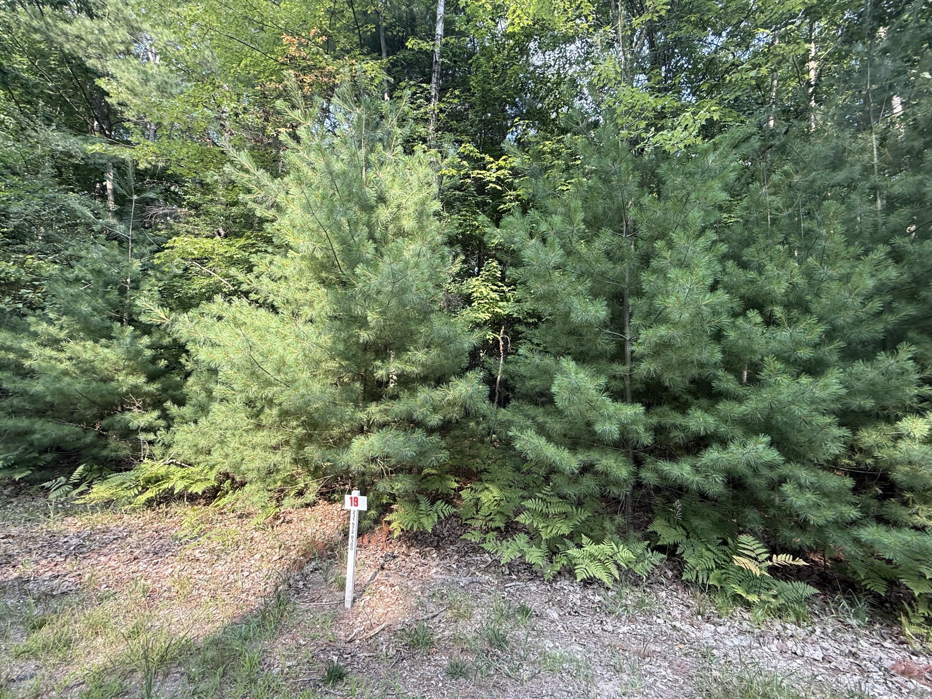 6842 White Pine Drive Property Photo 1