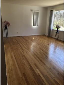 954 Rose Drive Property Photo 7