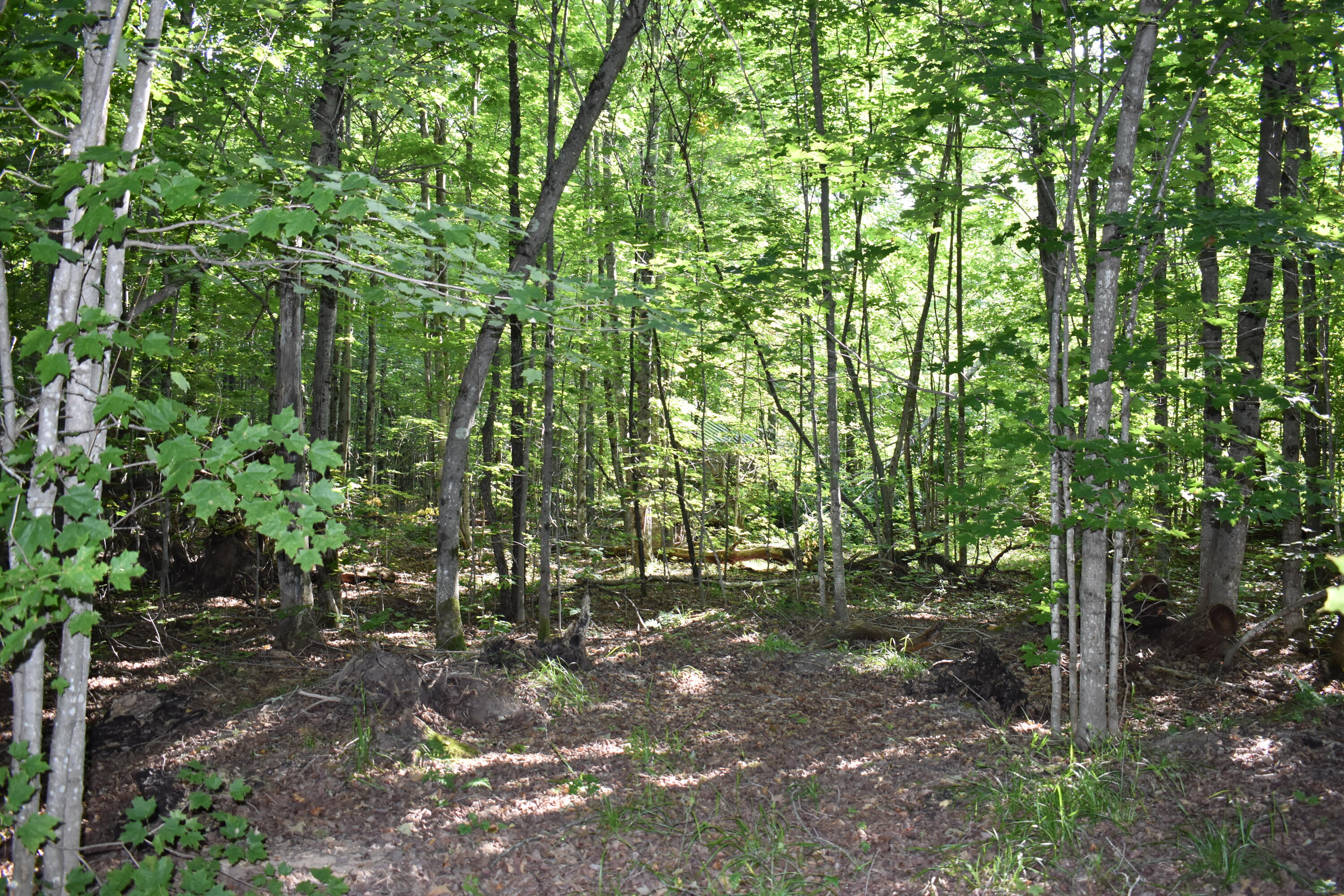 7516 Covert Road Ne Property Photo 6