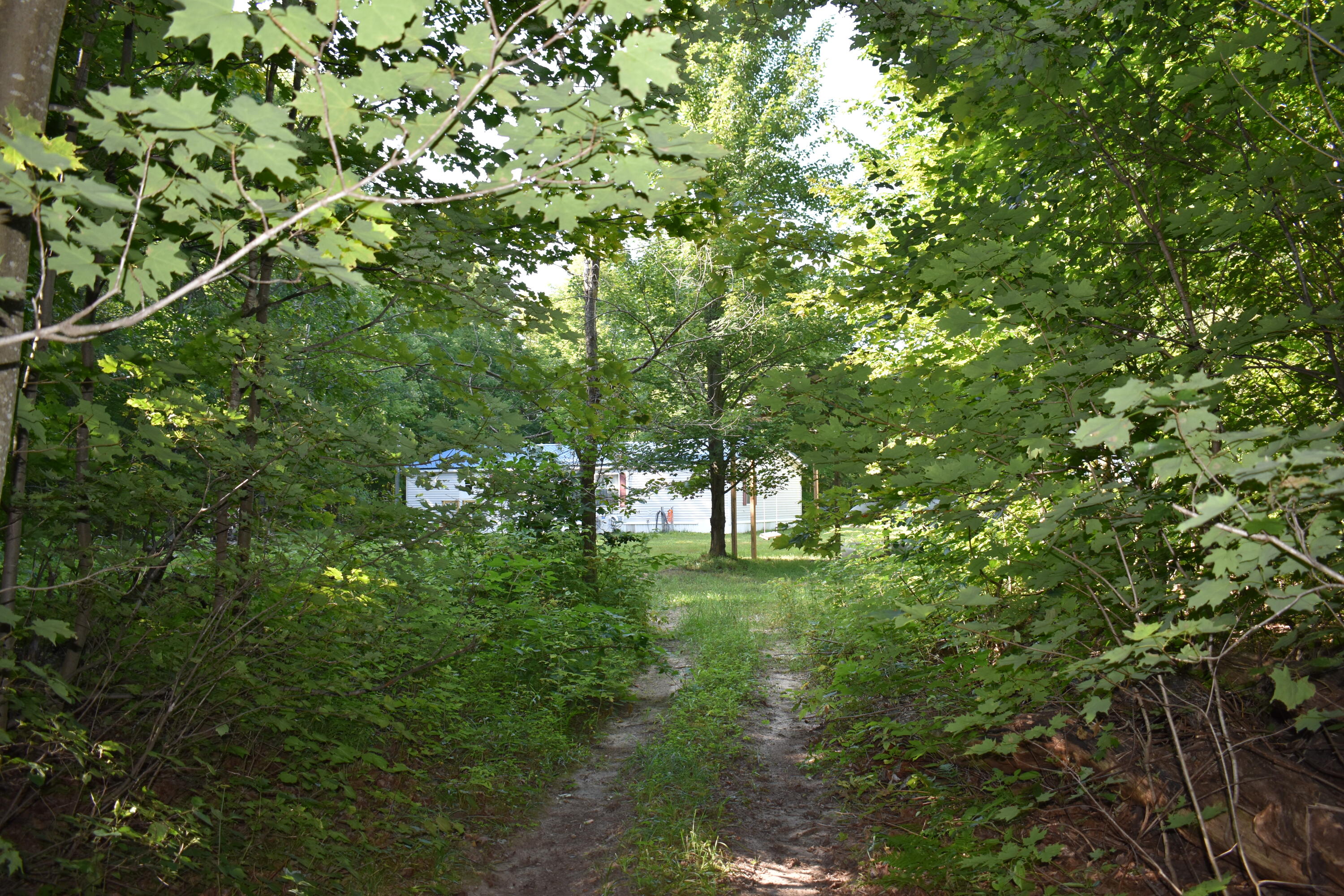 7516 Covert Road Ne Property Photo 9