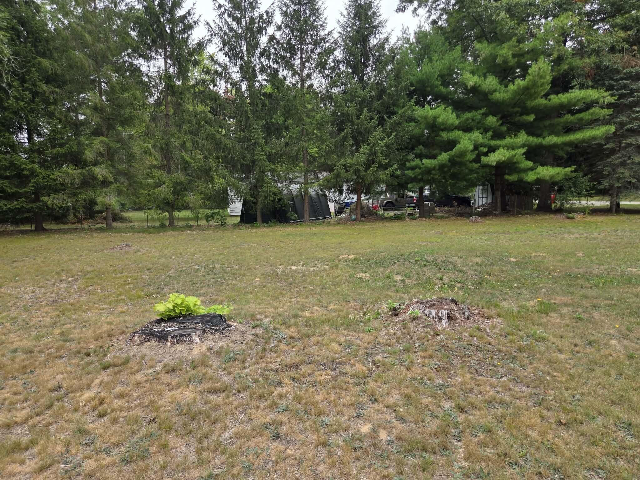 931 S Pierce Road Property Photo 6