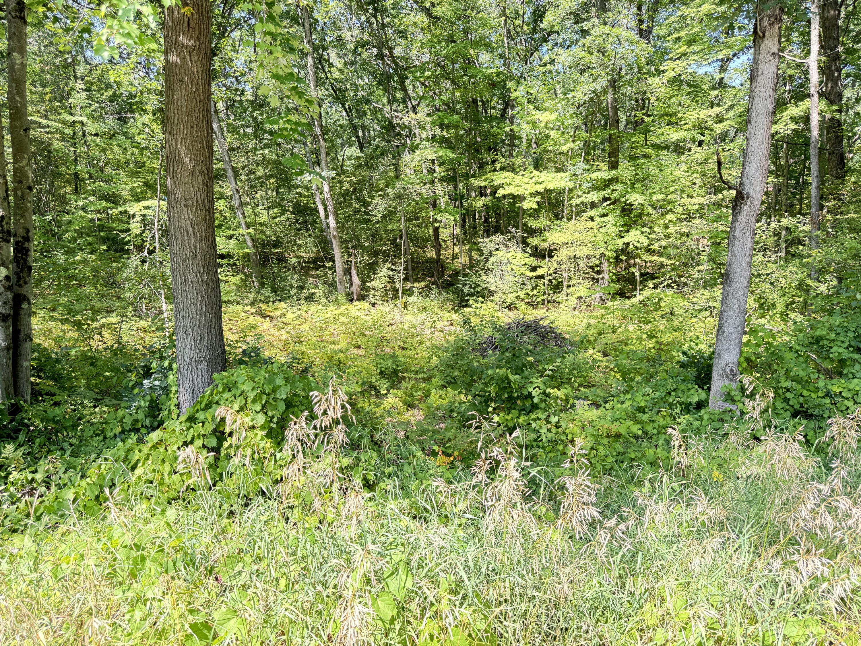 8835 N Bingham Avenue Property Photo 1