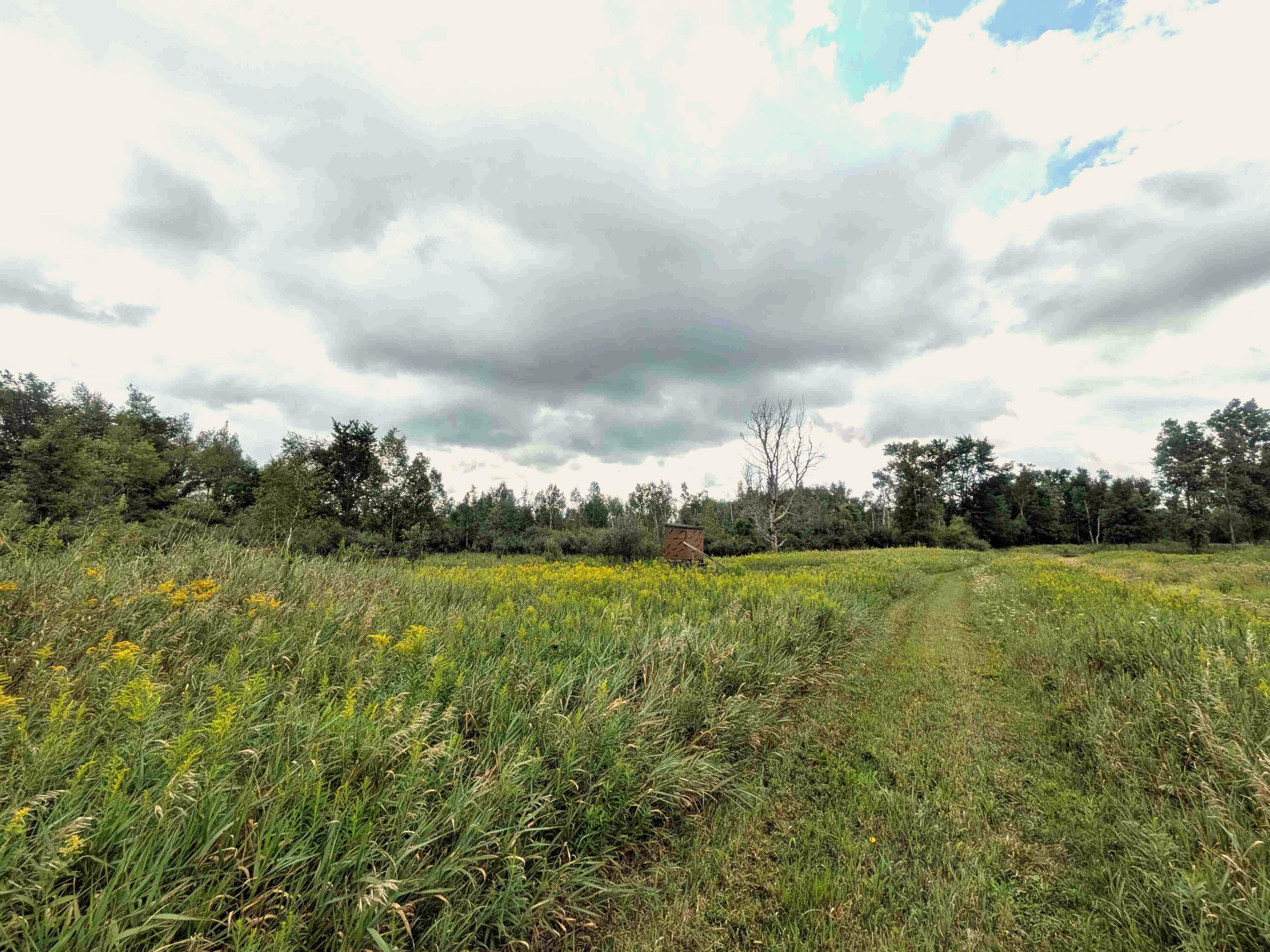 7541 E Bevens Road Property Photo 1