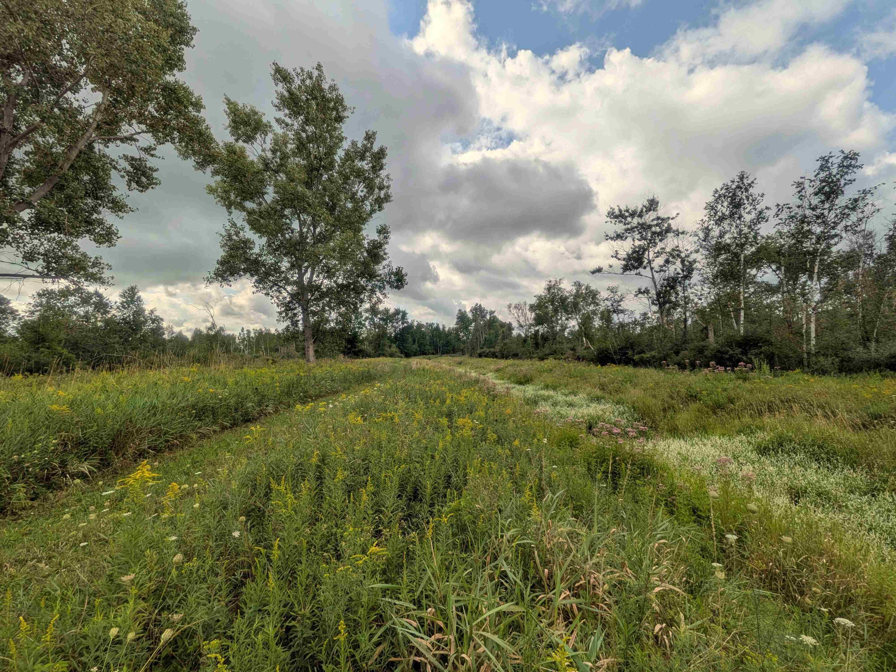 7541 E Bevens Road Property Photo 8