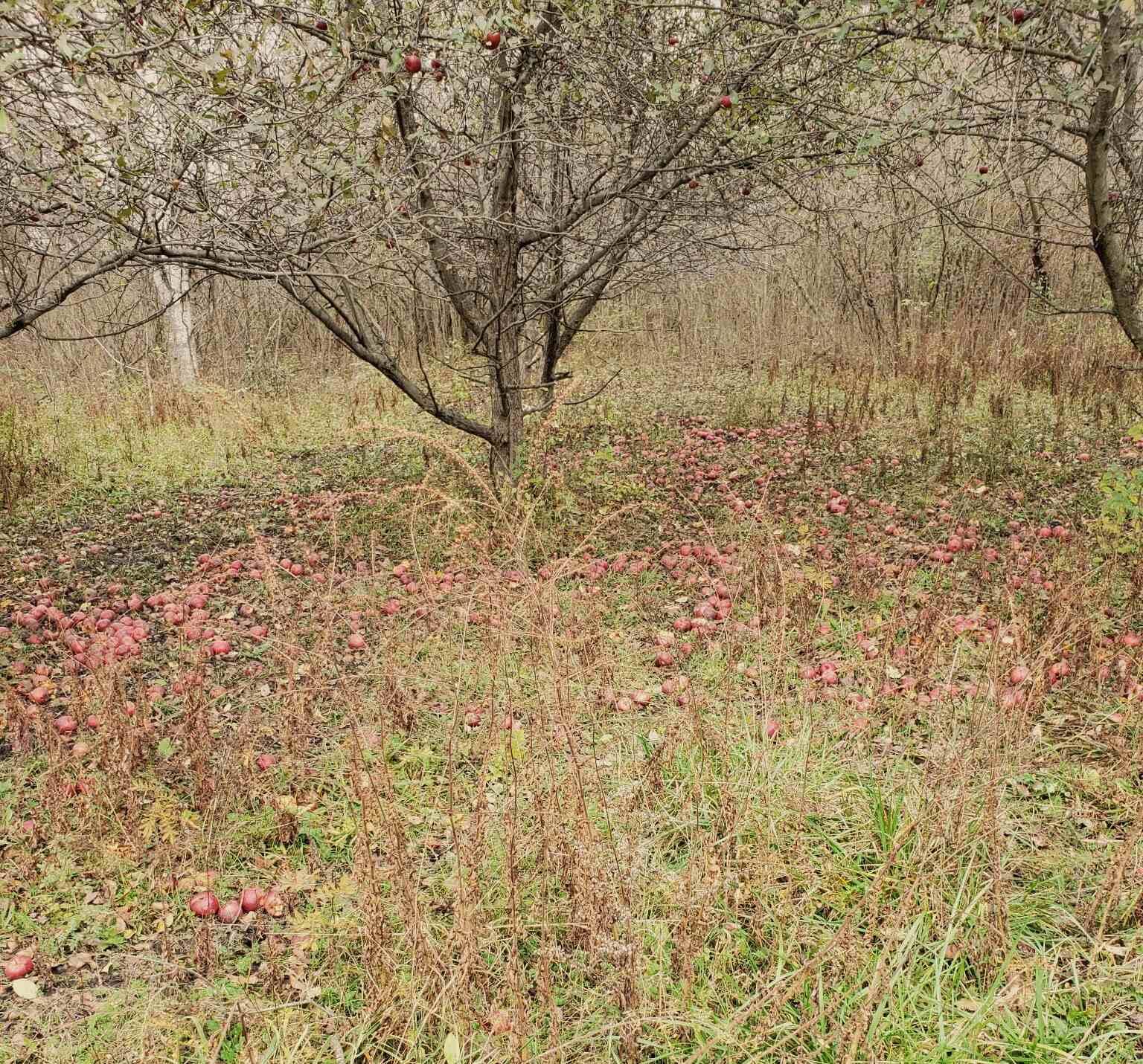 7541 E Bevens Road Property Photo 11