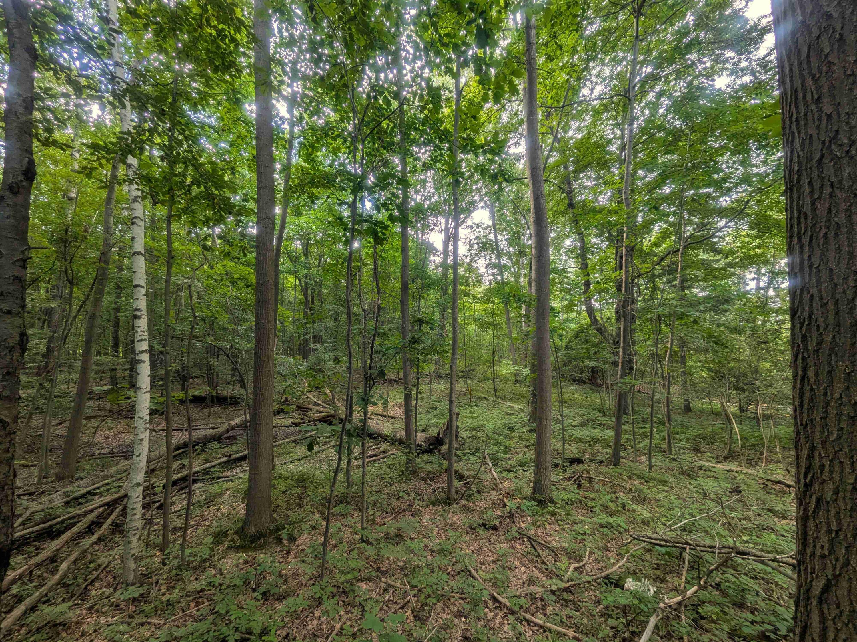7541 E Bevens Road Property Photo 14