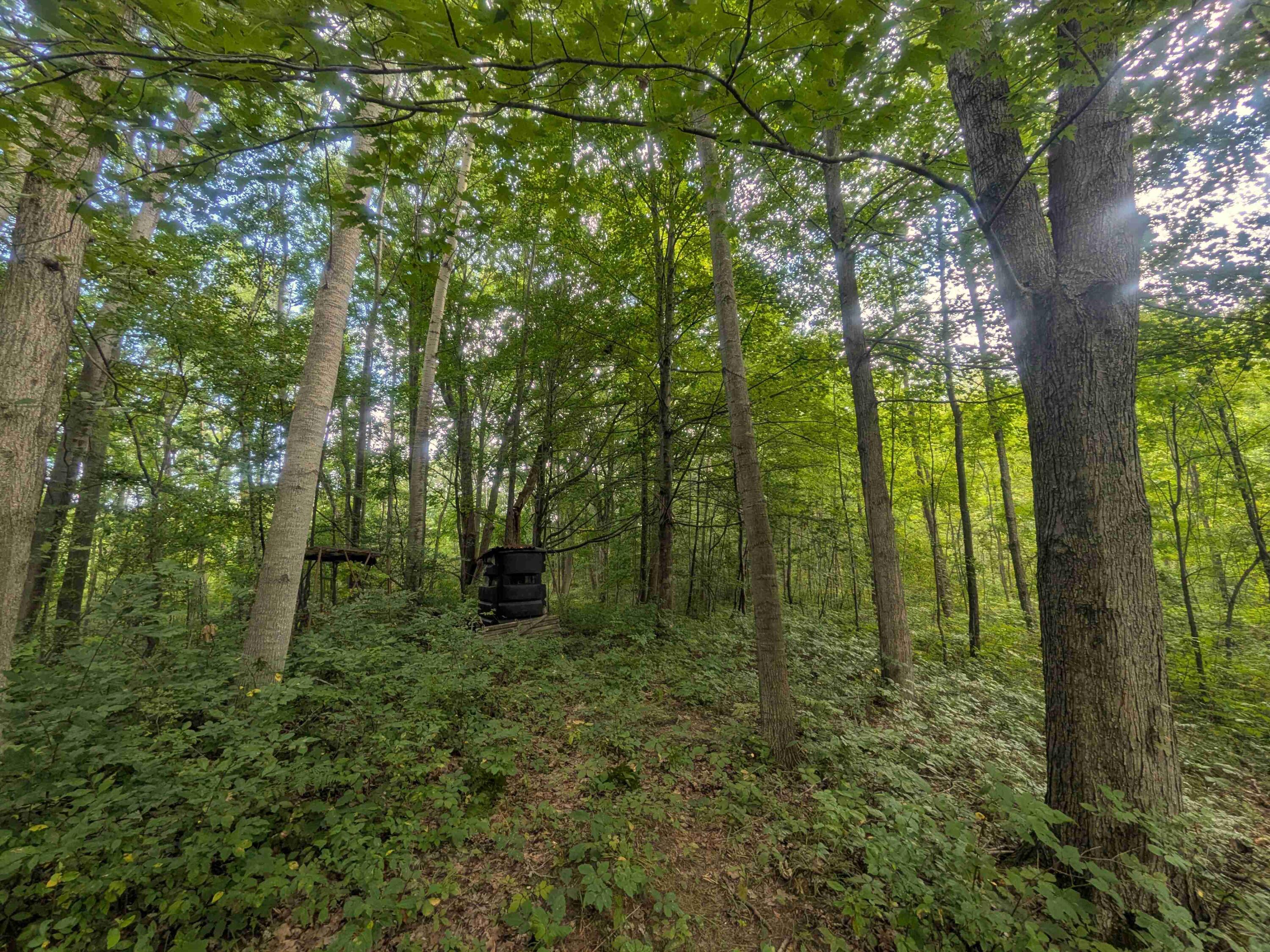 7541 E Bevens Road Property Photo 20