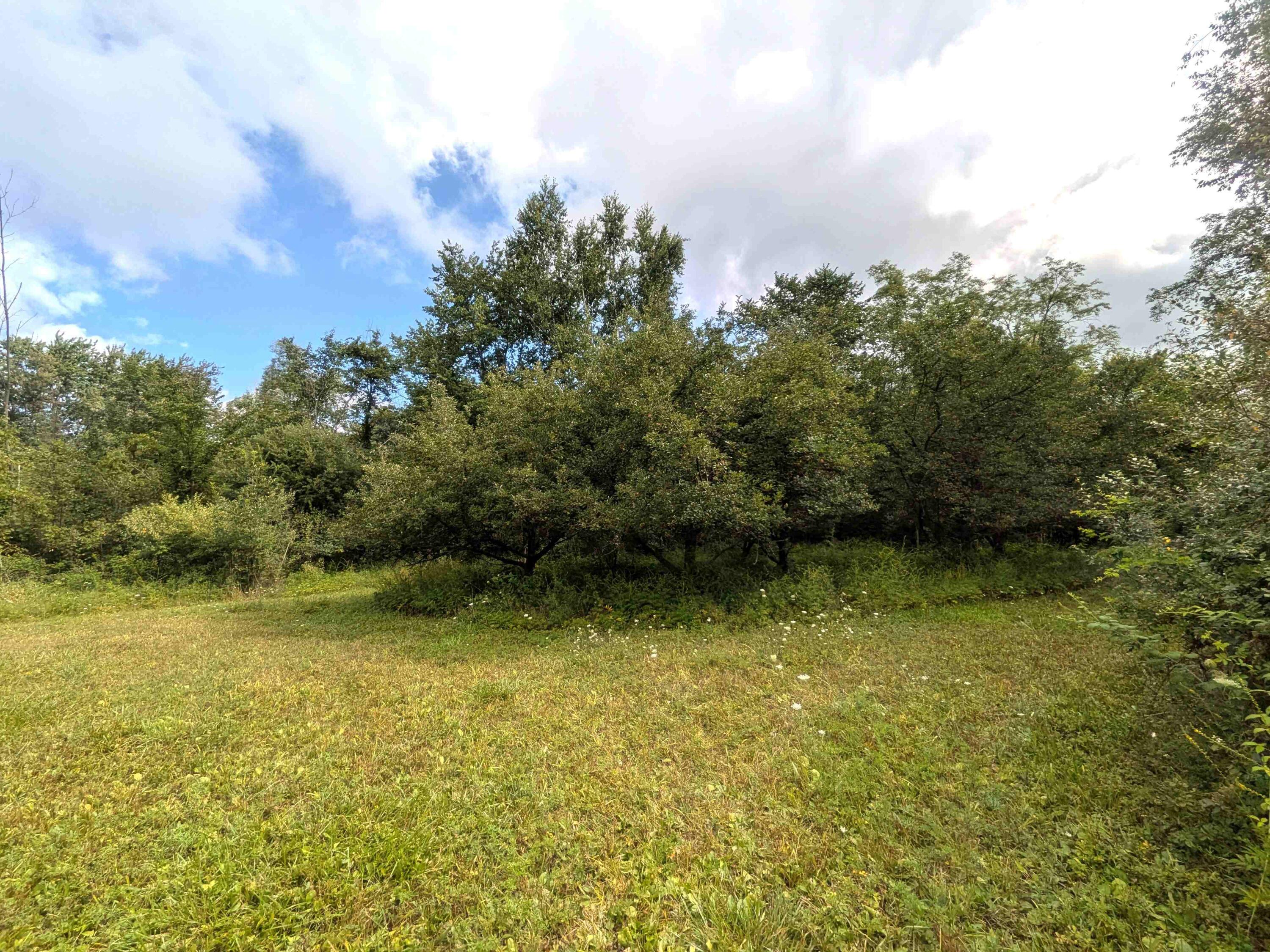 7541 E Bevens Road Property Photo 21