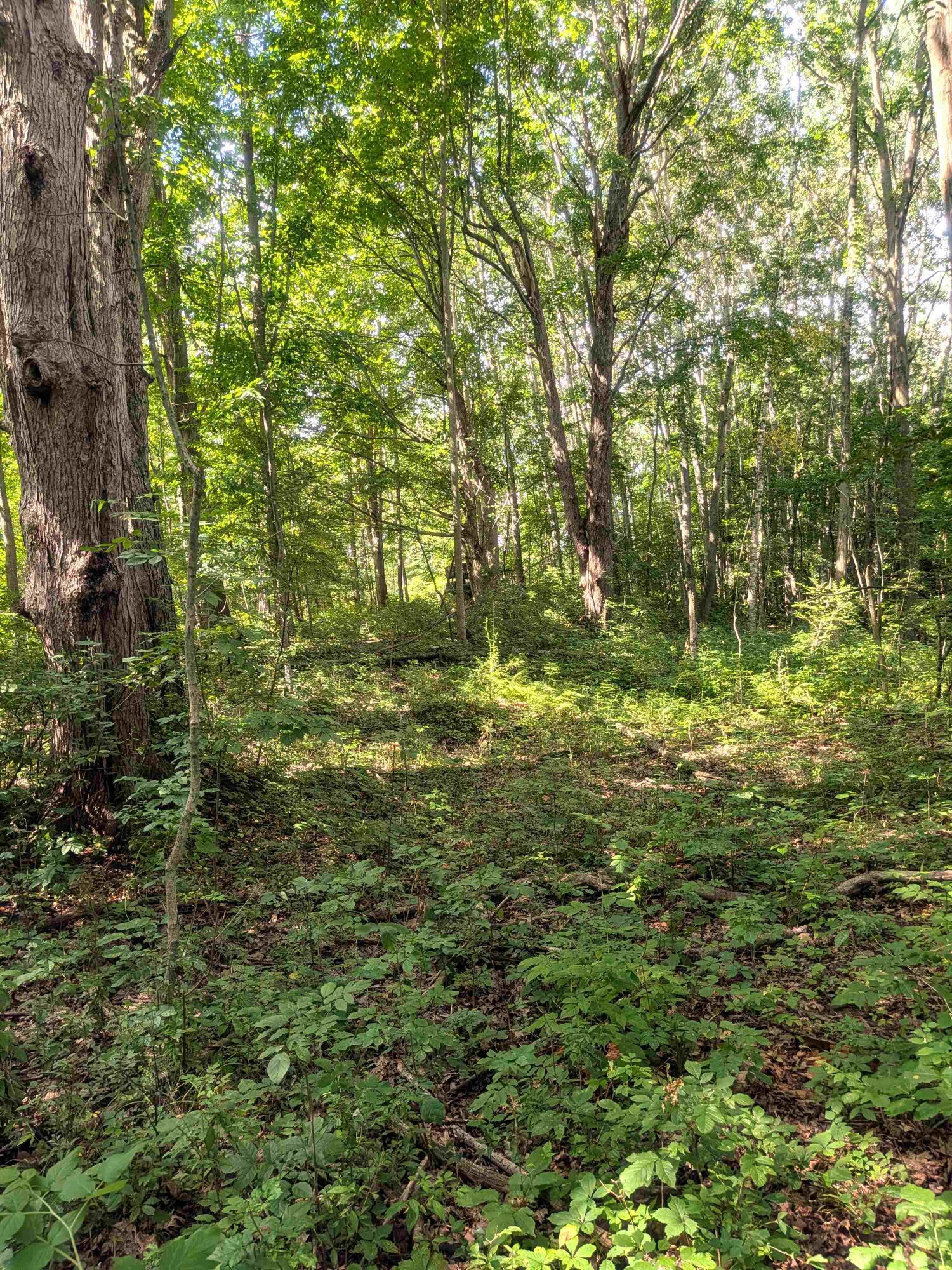 7541 E Bevens Road Property Photo 21