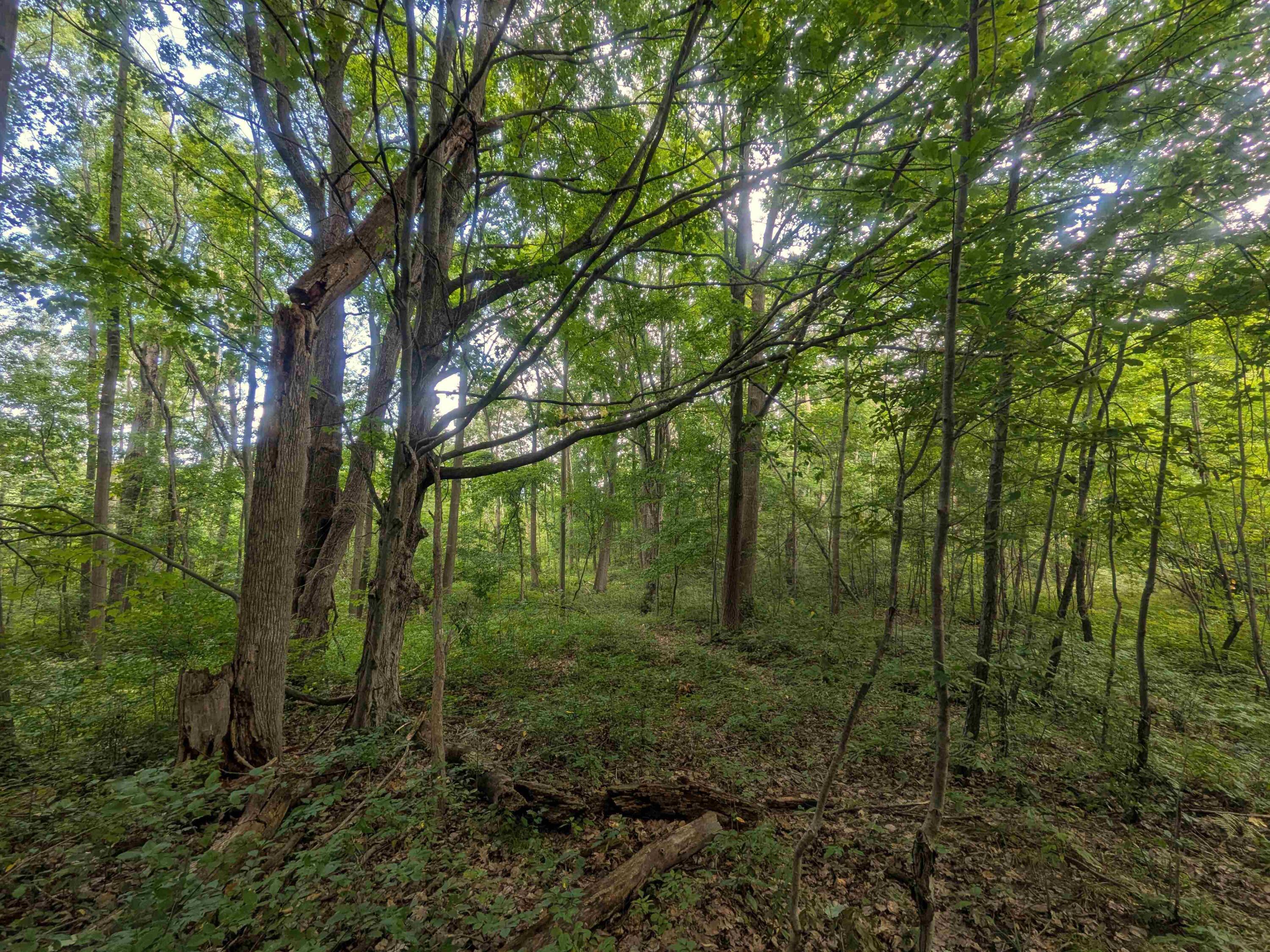 7541 E Bevens Road Property Photo 27