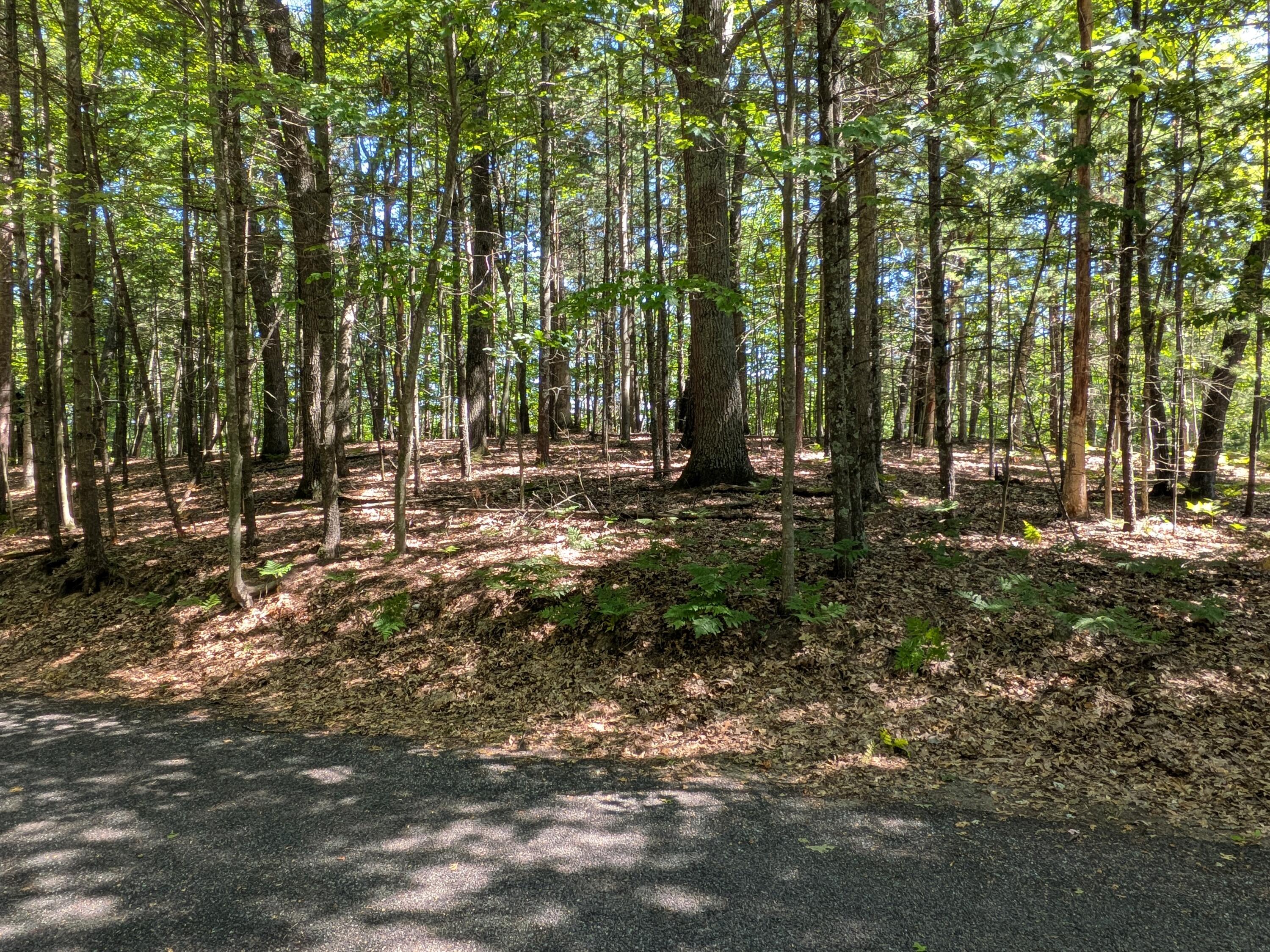 Ottawa Lane Lot 50 Property Photo 1