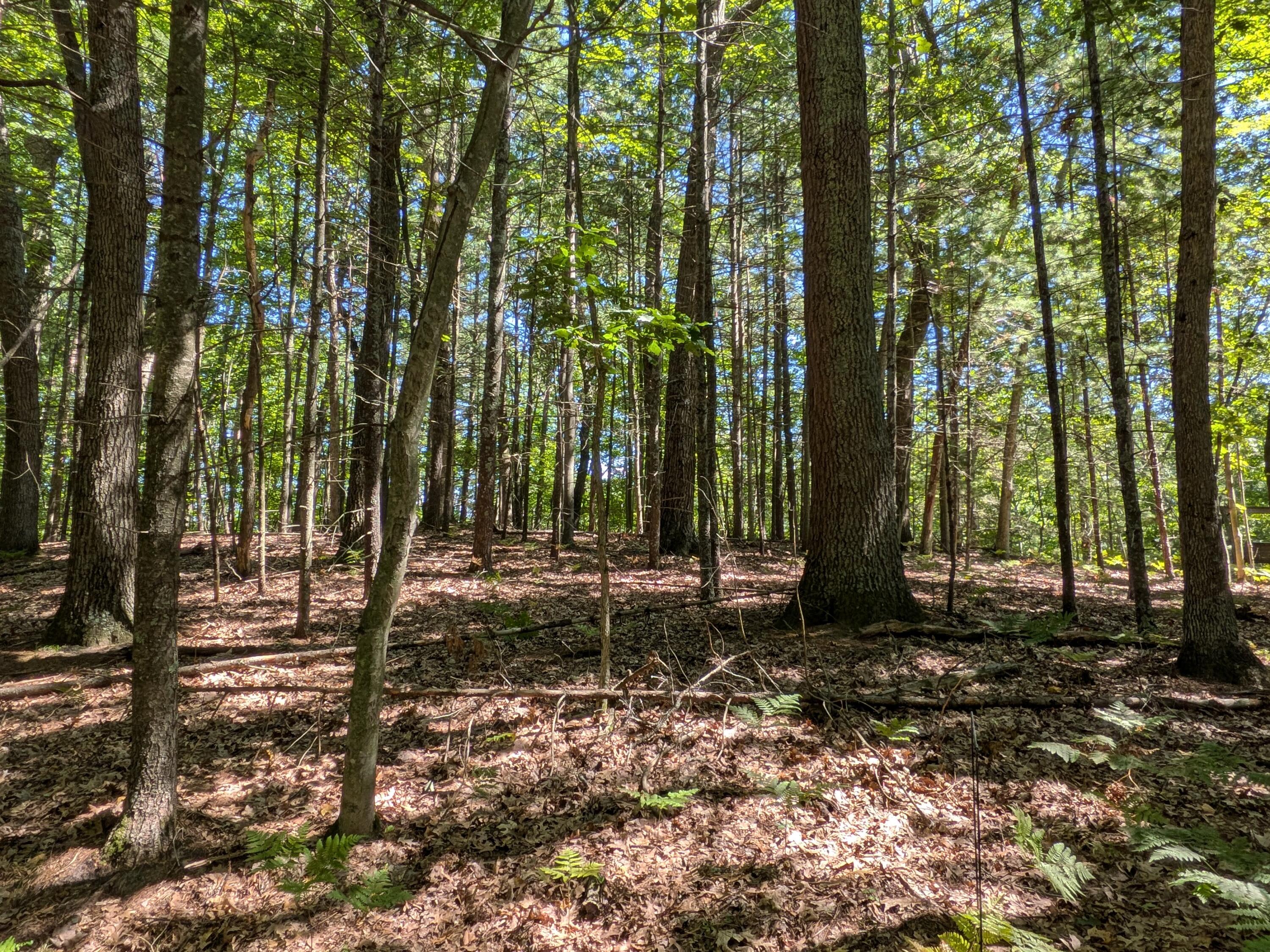 Ottawa Lane Lot 50 Property Photo 2