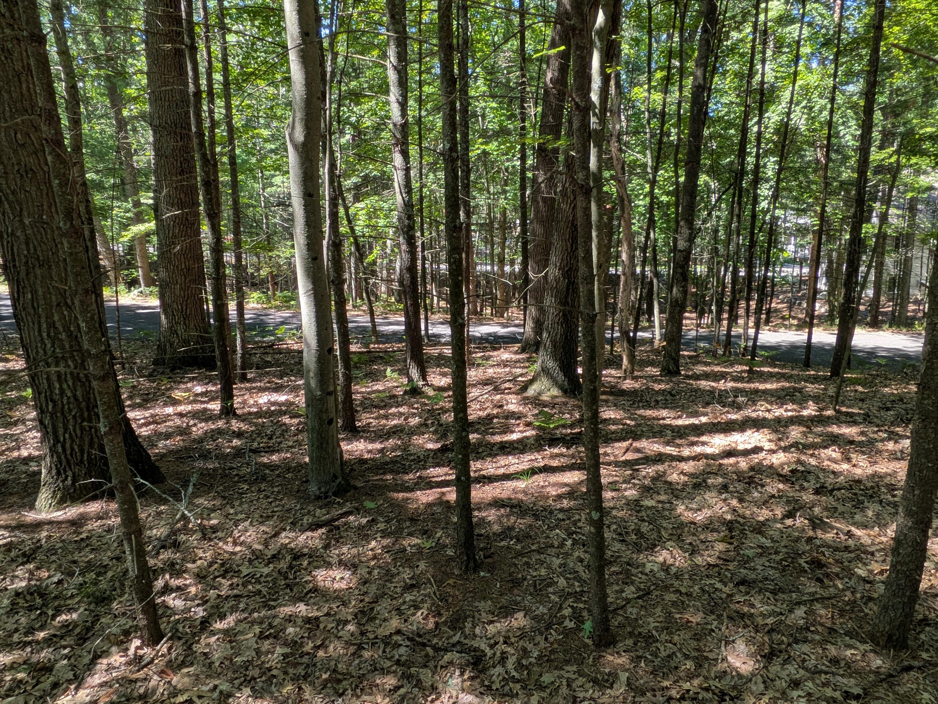 Ottawa Lane Lot 50 Property Photo 3