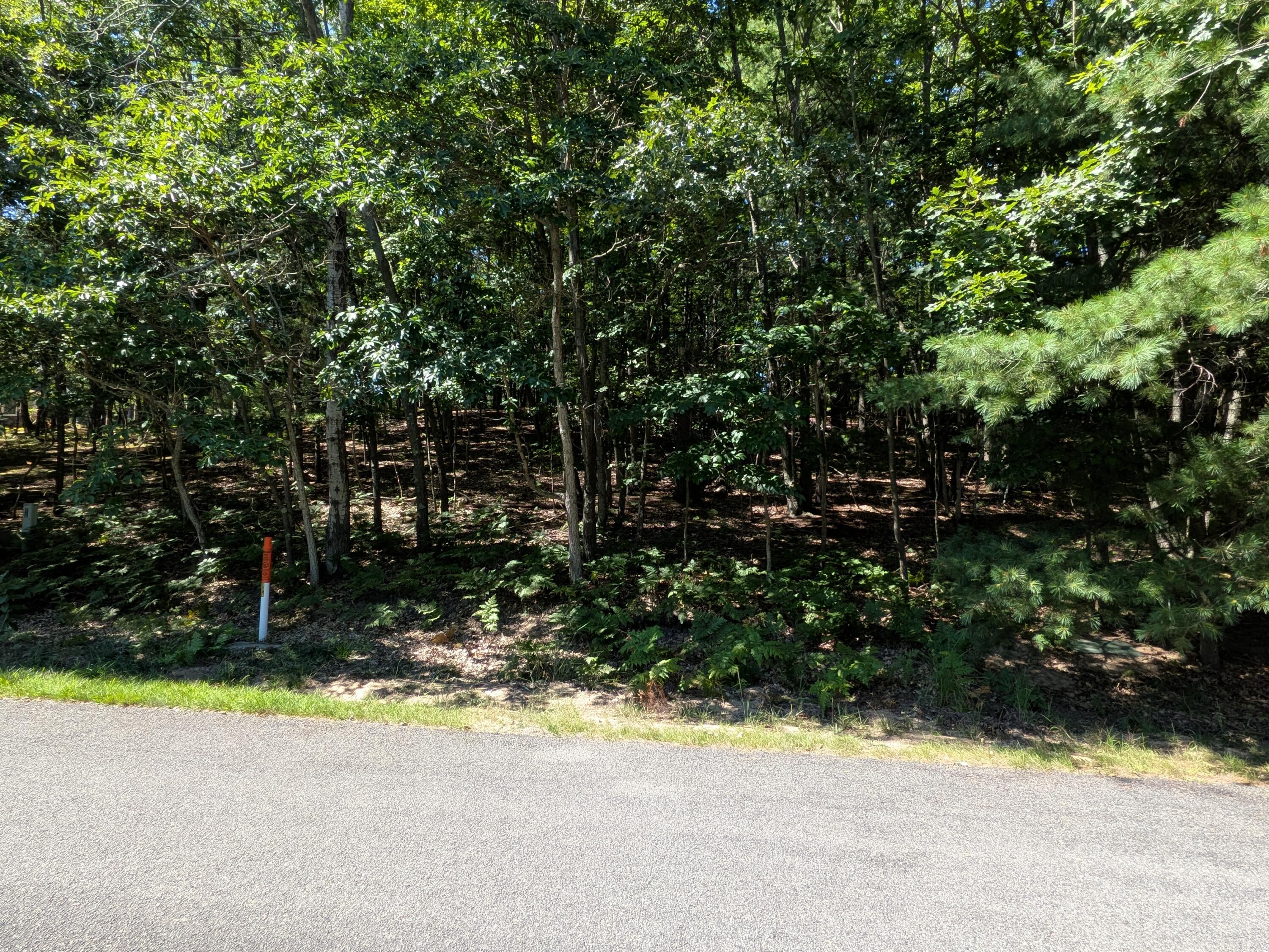 Ottawa Lane Lot 50 Property Photo 5