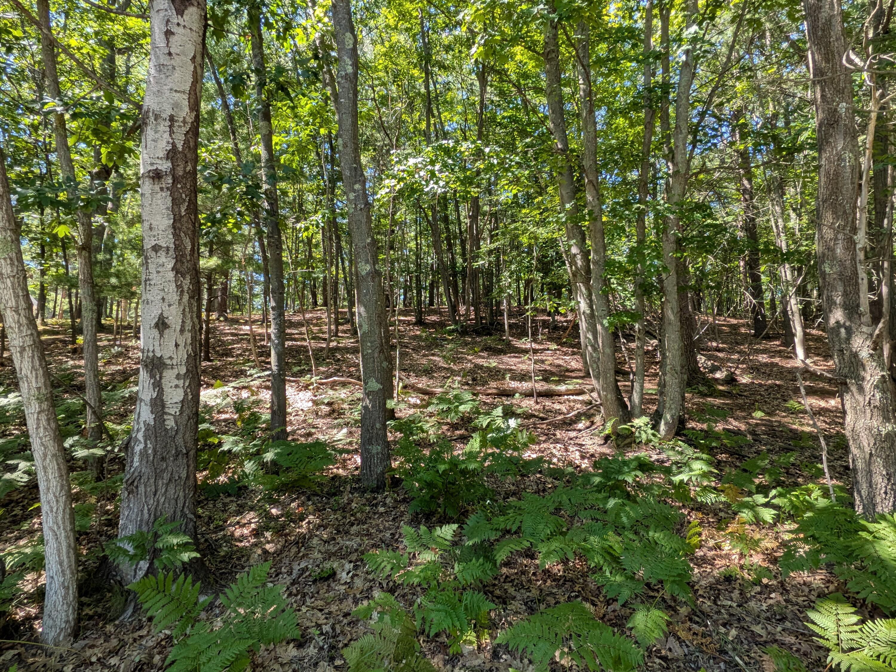 Ottawa Lane Lot 50 Property Photo 6