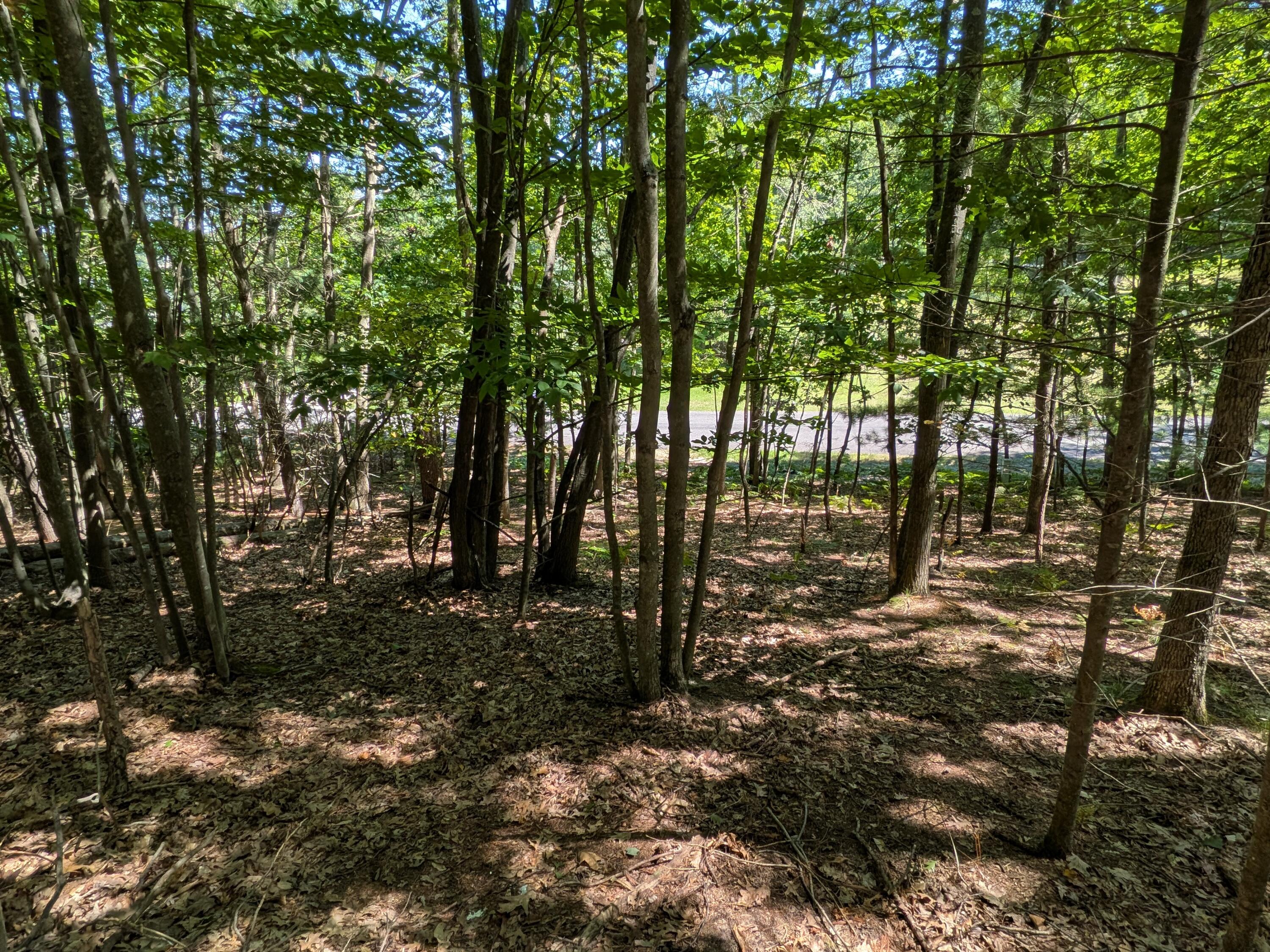 Ottawa Lane Lot 50 Property Photo 7